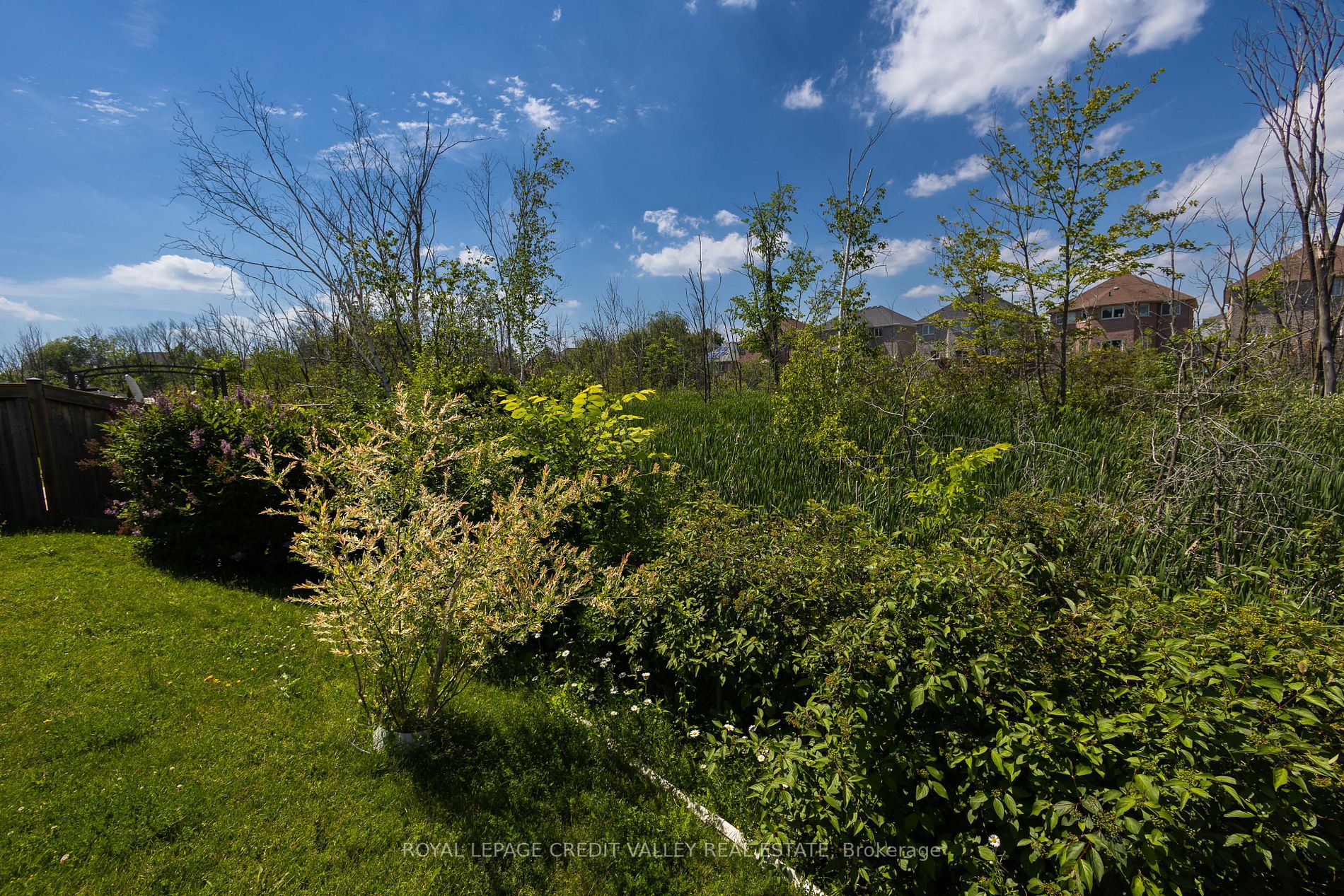1246 Lowrie St, #Upper