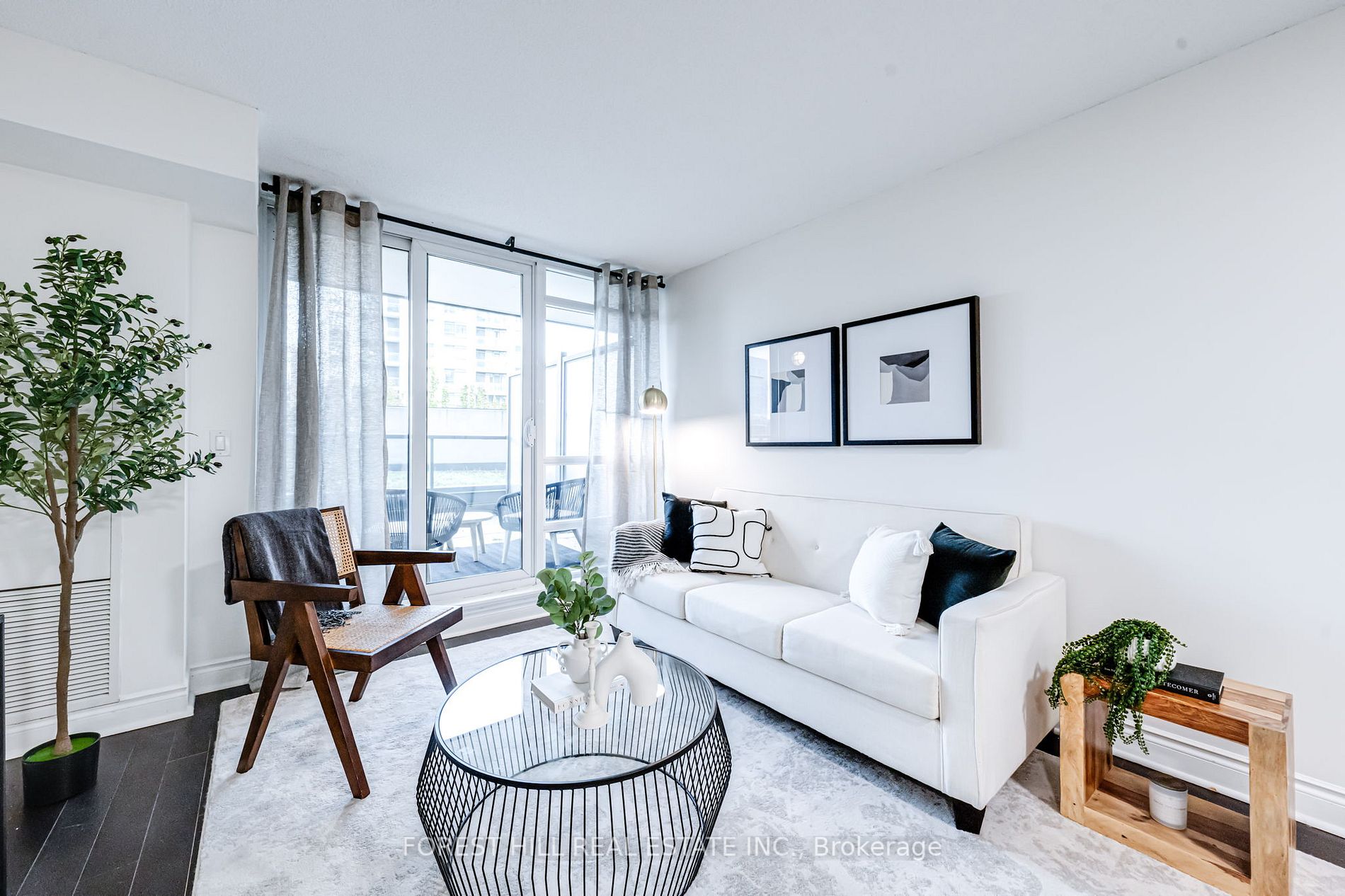 55 South Town Ctre, #217