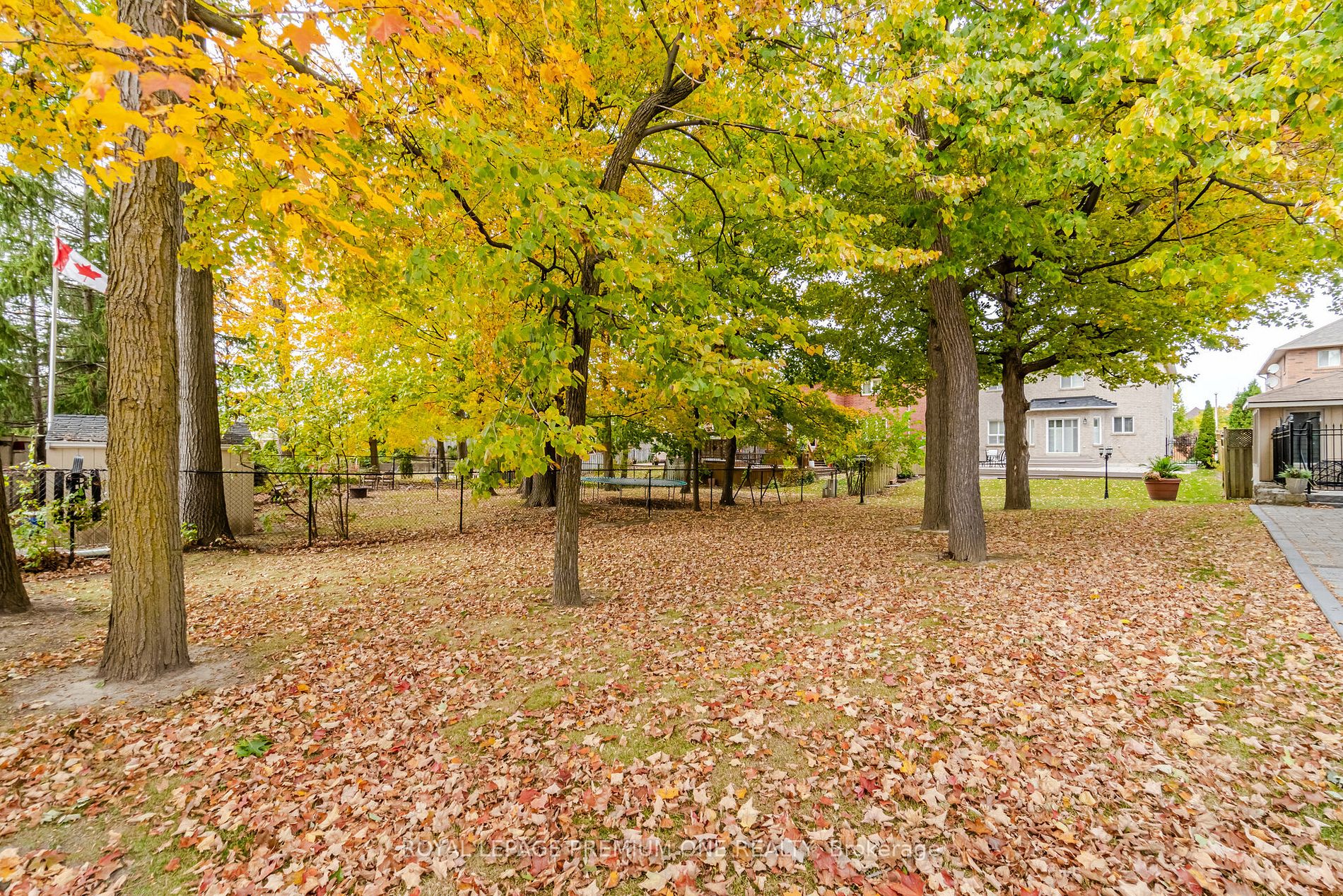 49 Pine Hollow Cres
