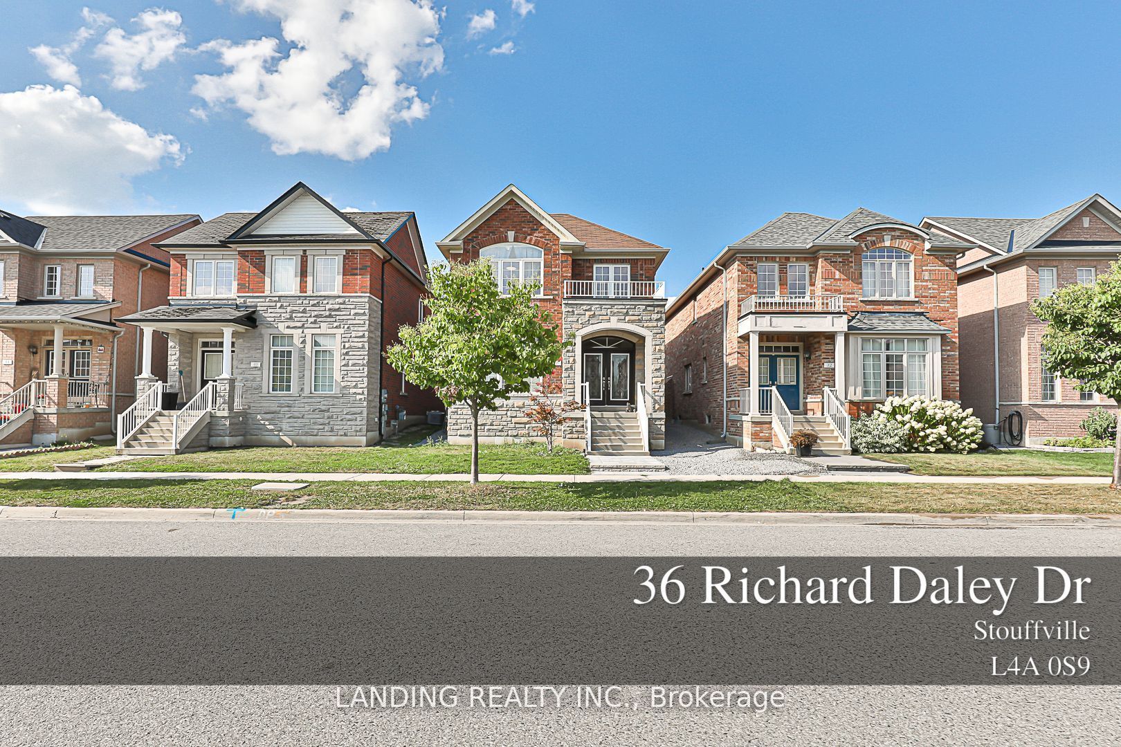 36 Richard Daley Dr
