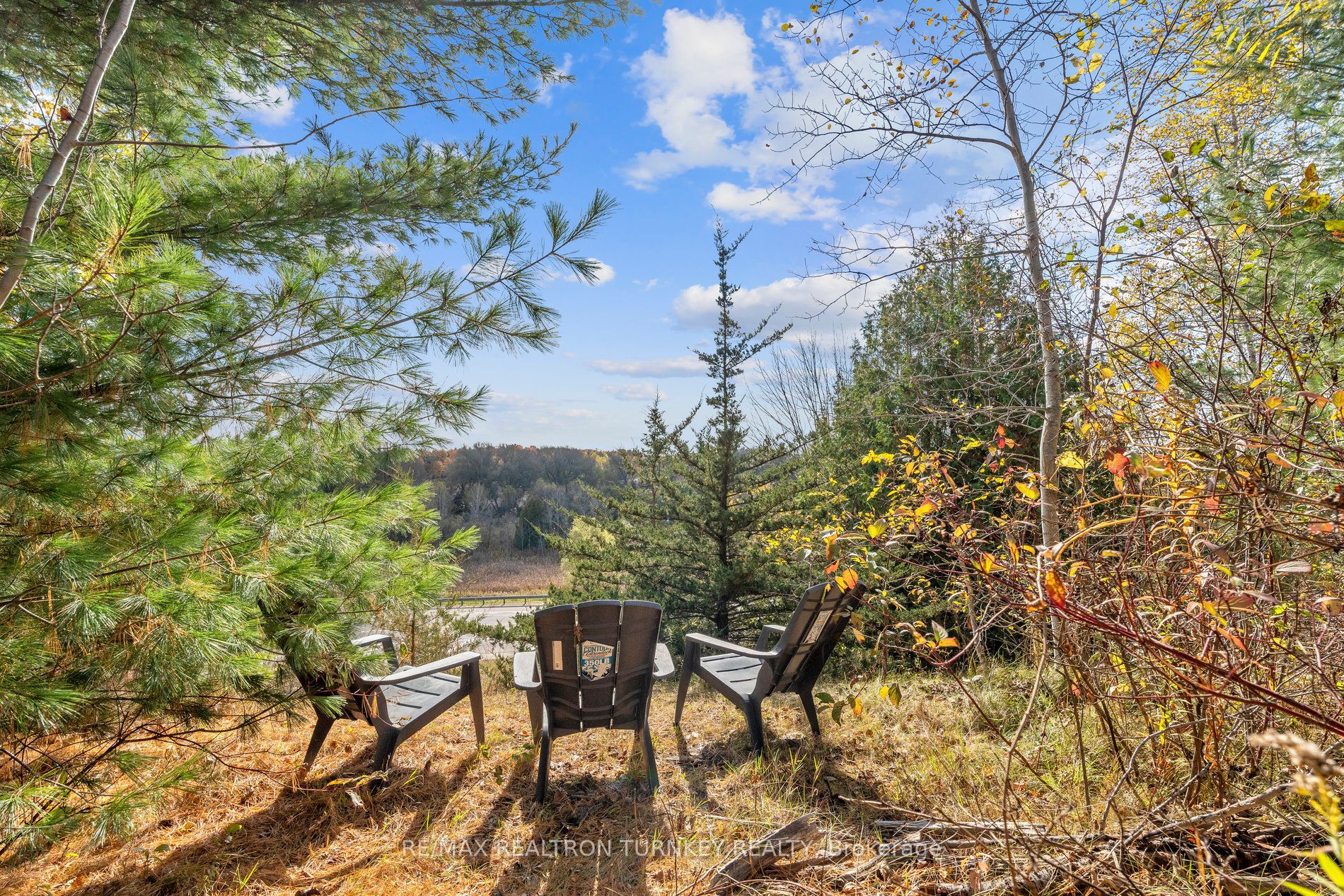 2872 Mount Albert Road