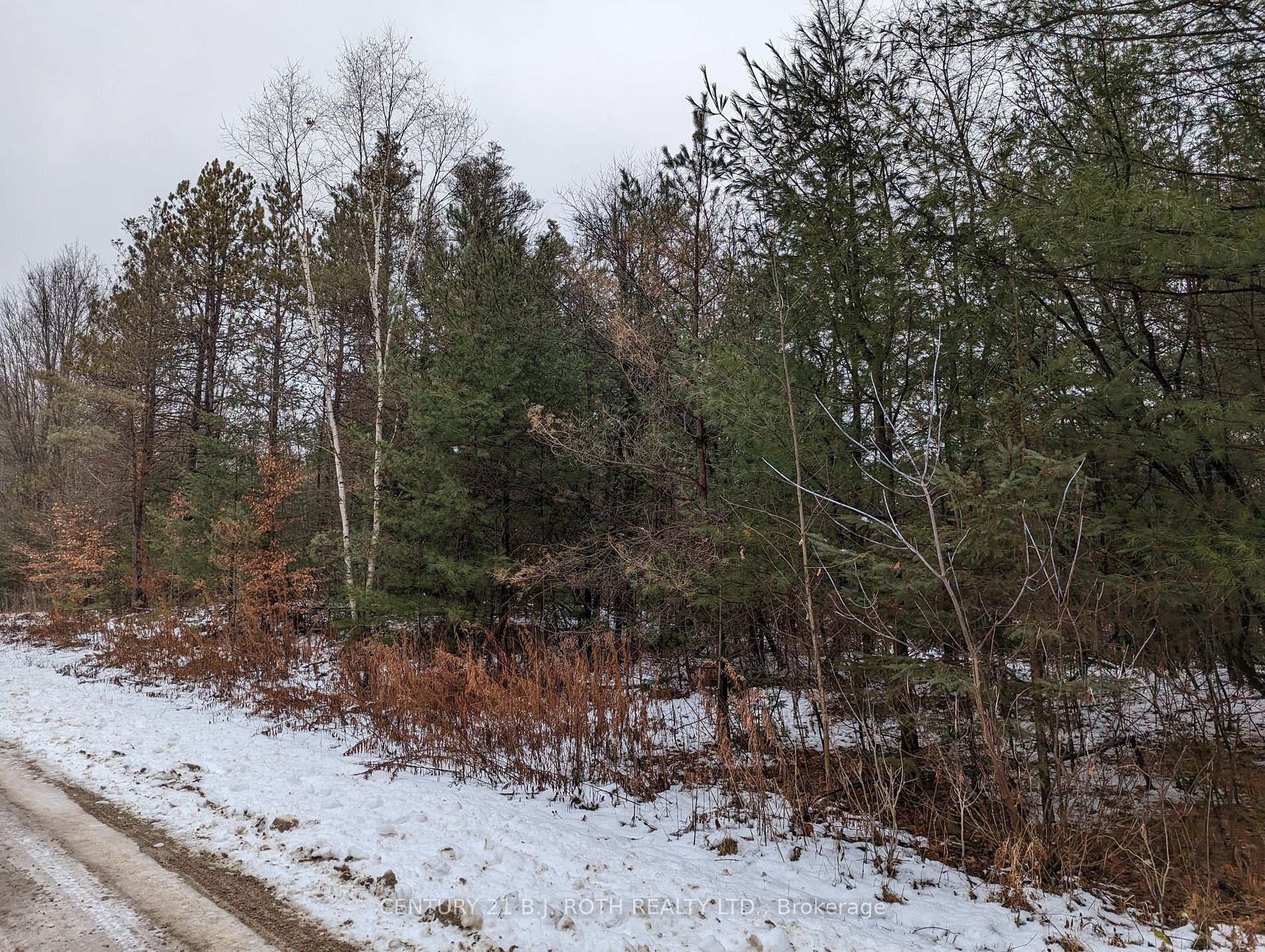 Lot 7 6th Line