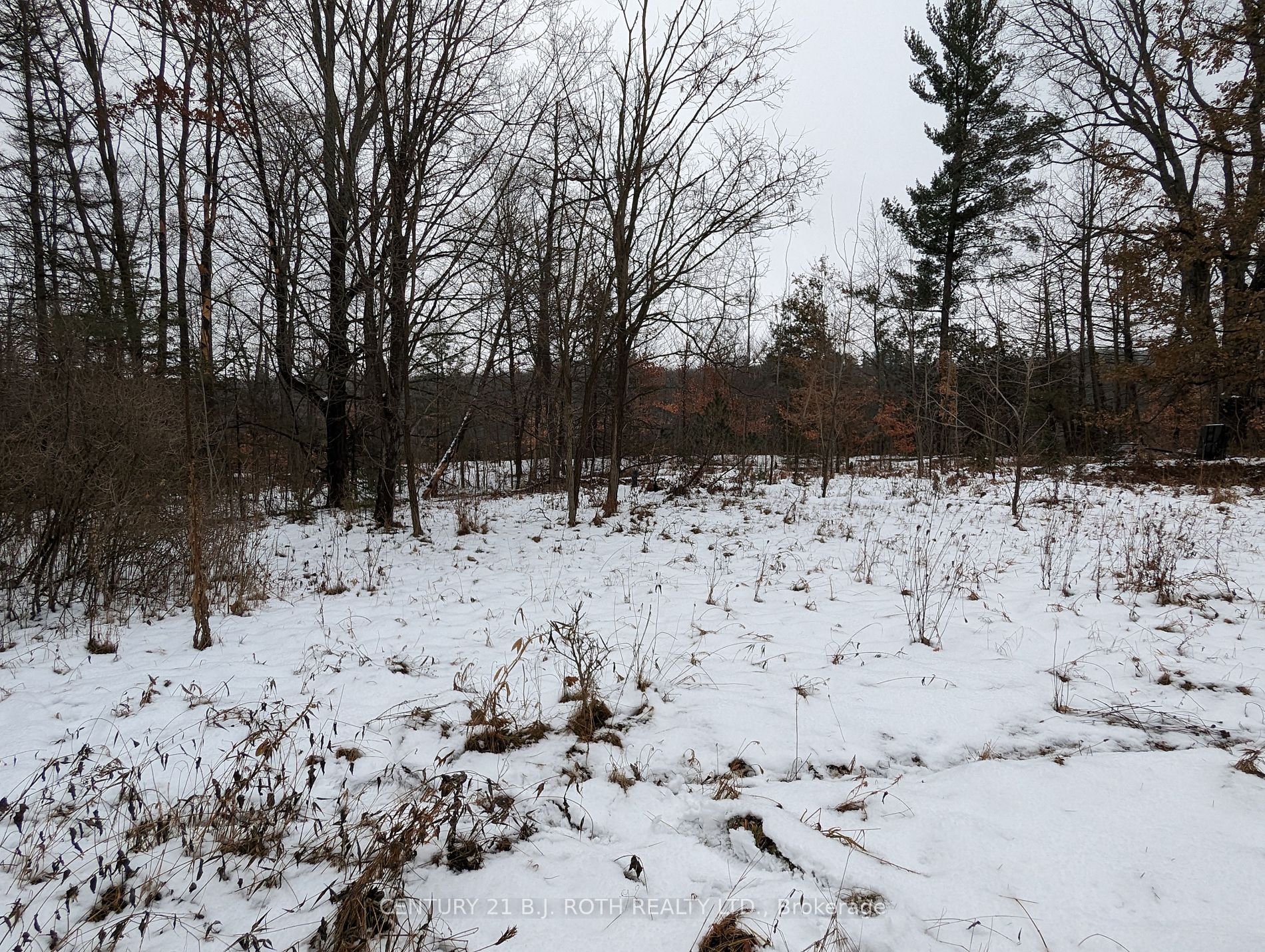 Lot 7 6th Line