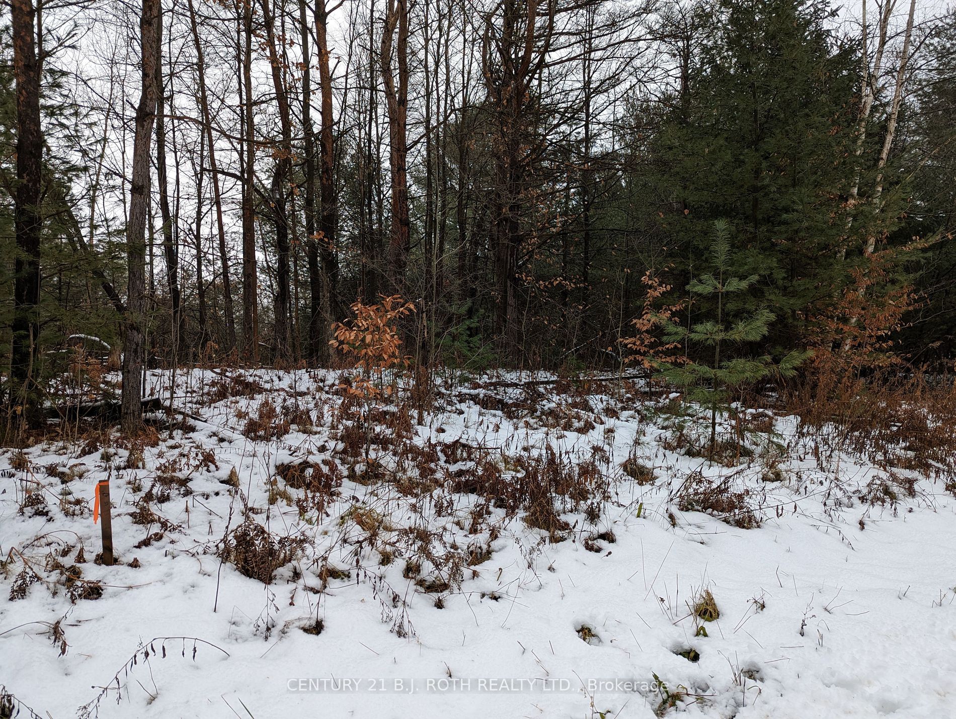 Lot 7 6th Line