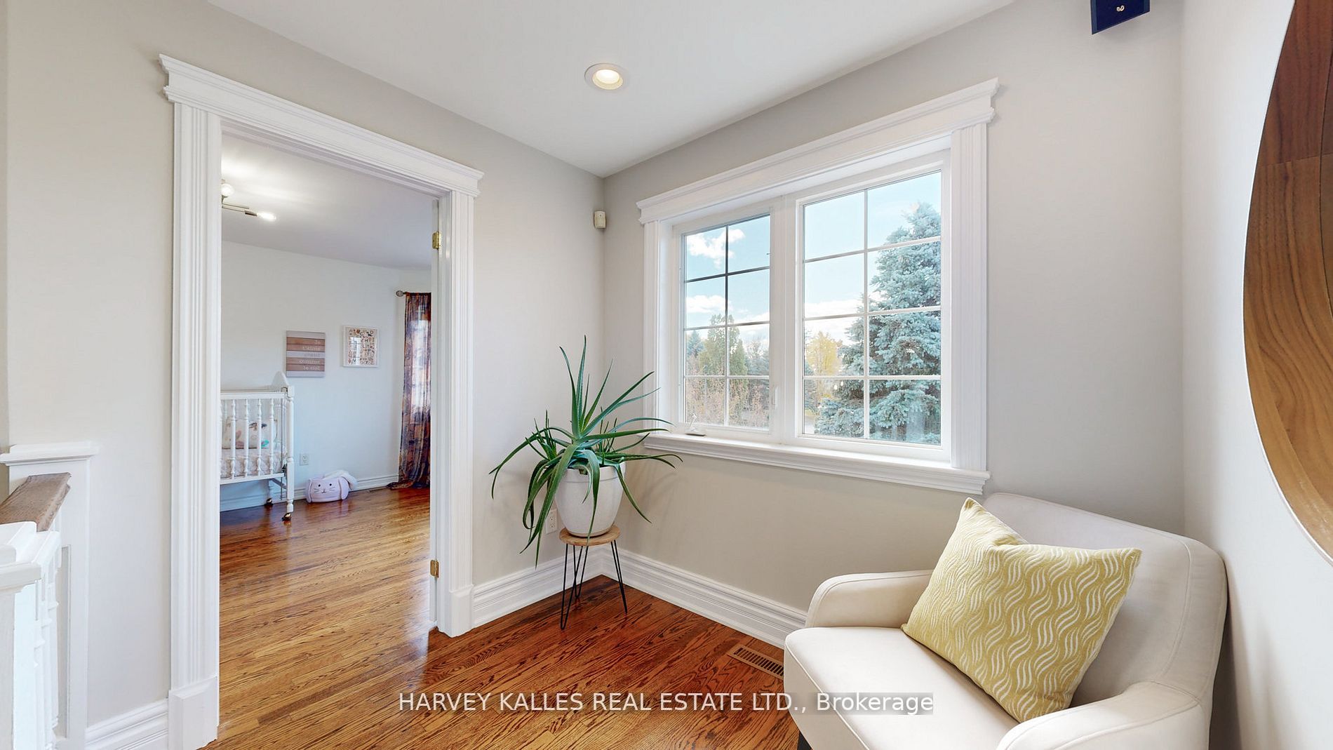 82 English Daisy Crt