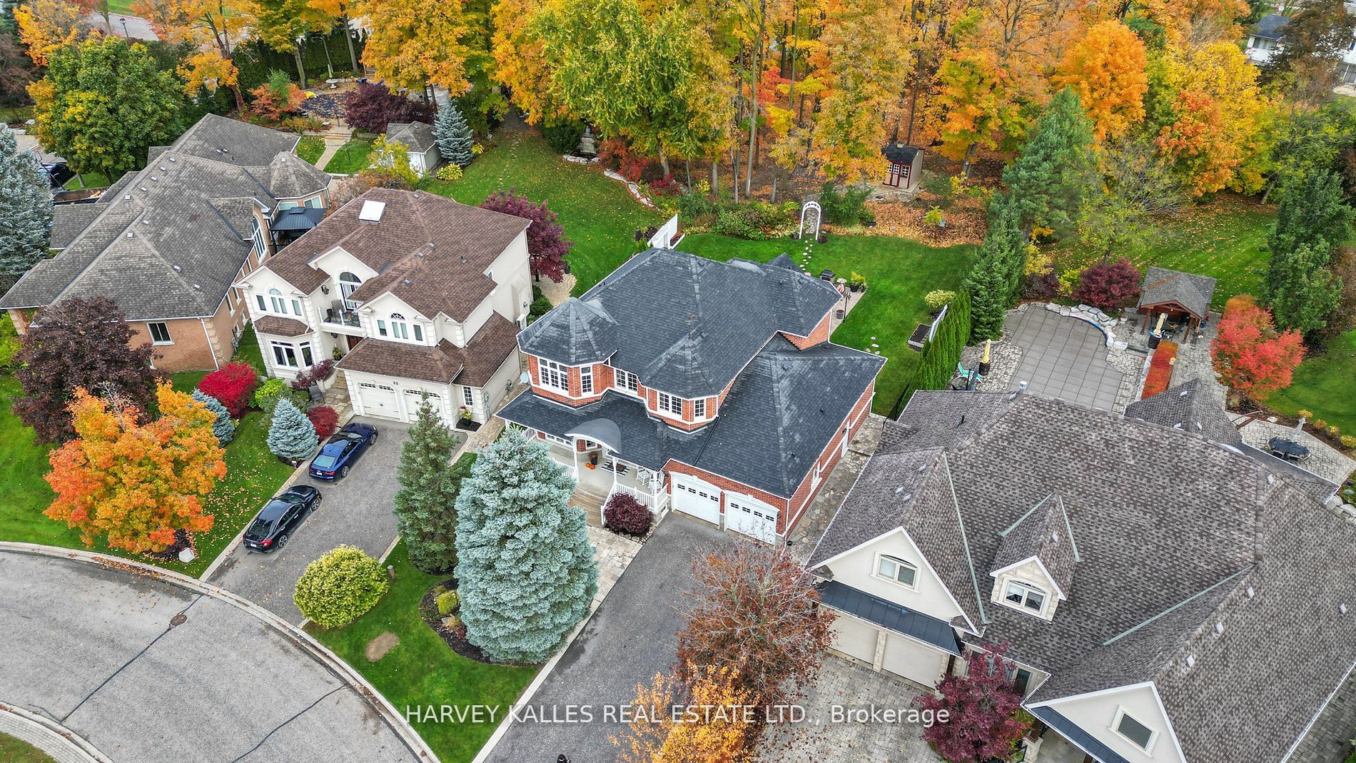82 English Daisy Crt