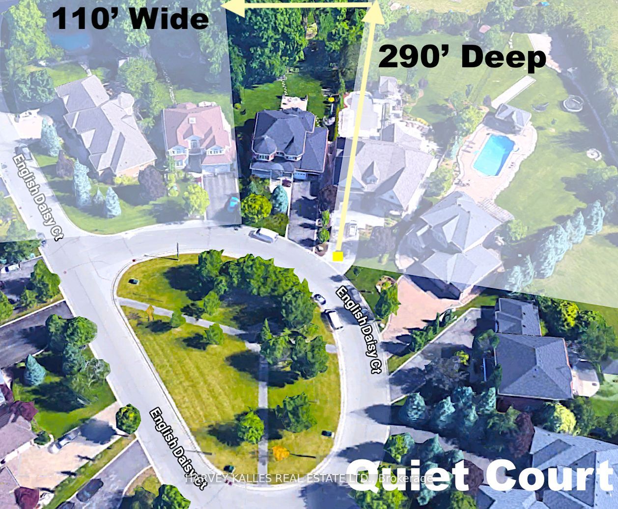 82 English Daisy Crt