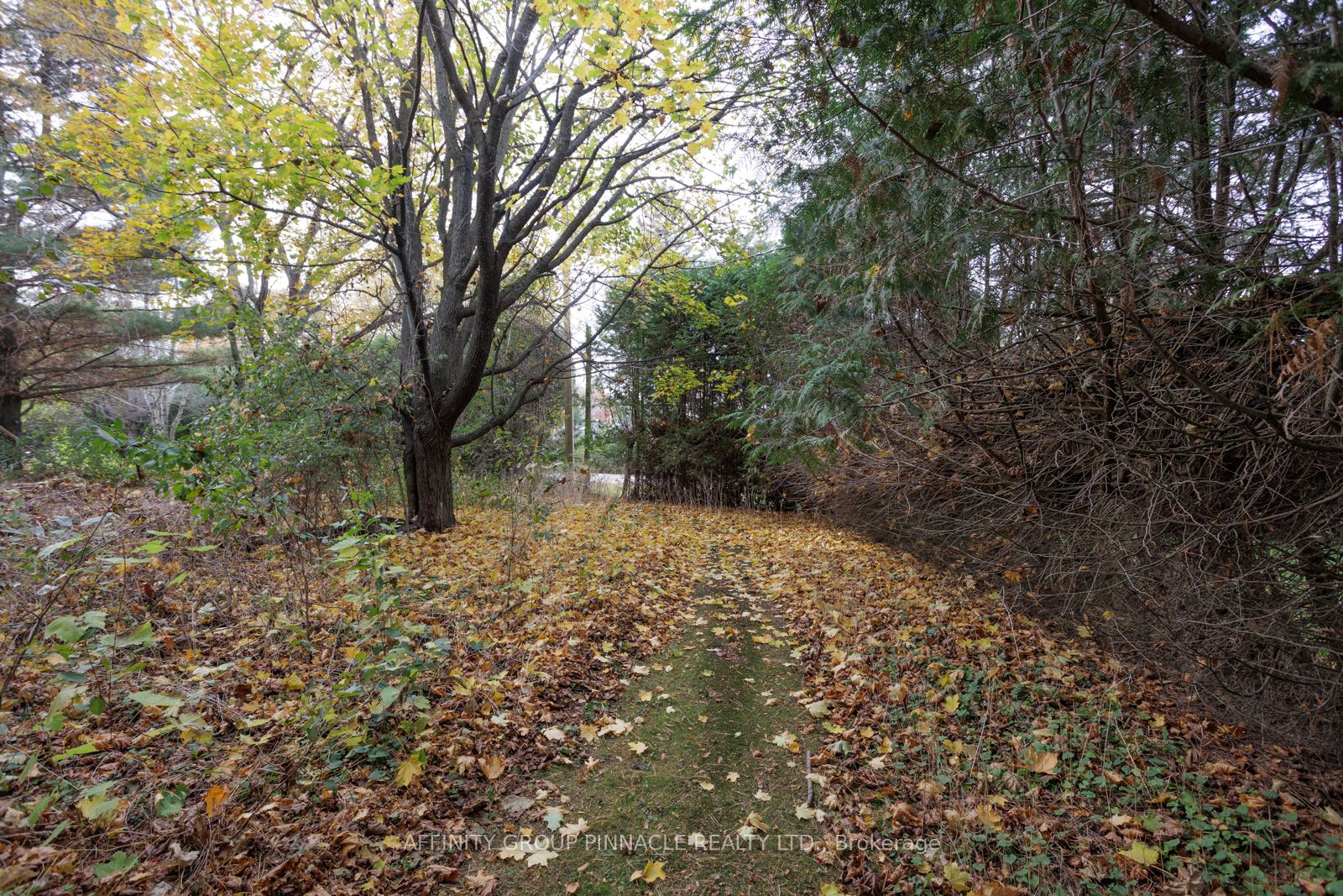 81 Cedar Beach Road