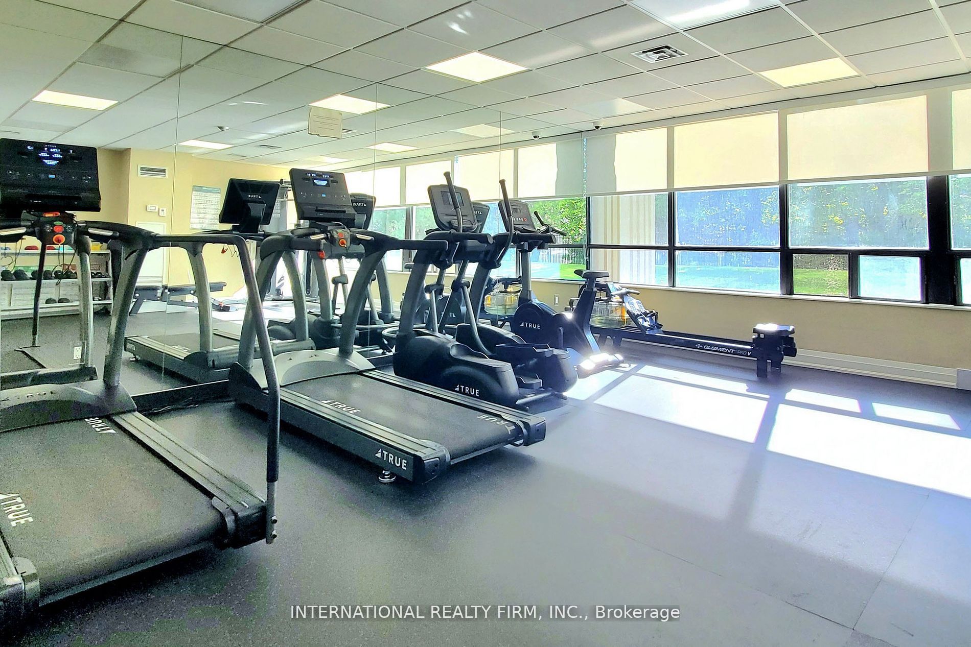 7420 Bathurst Street, #501