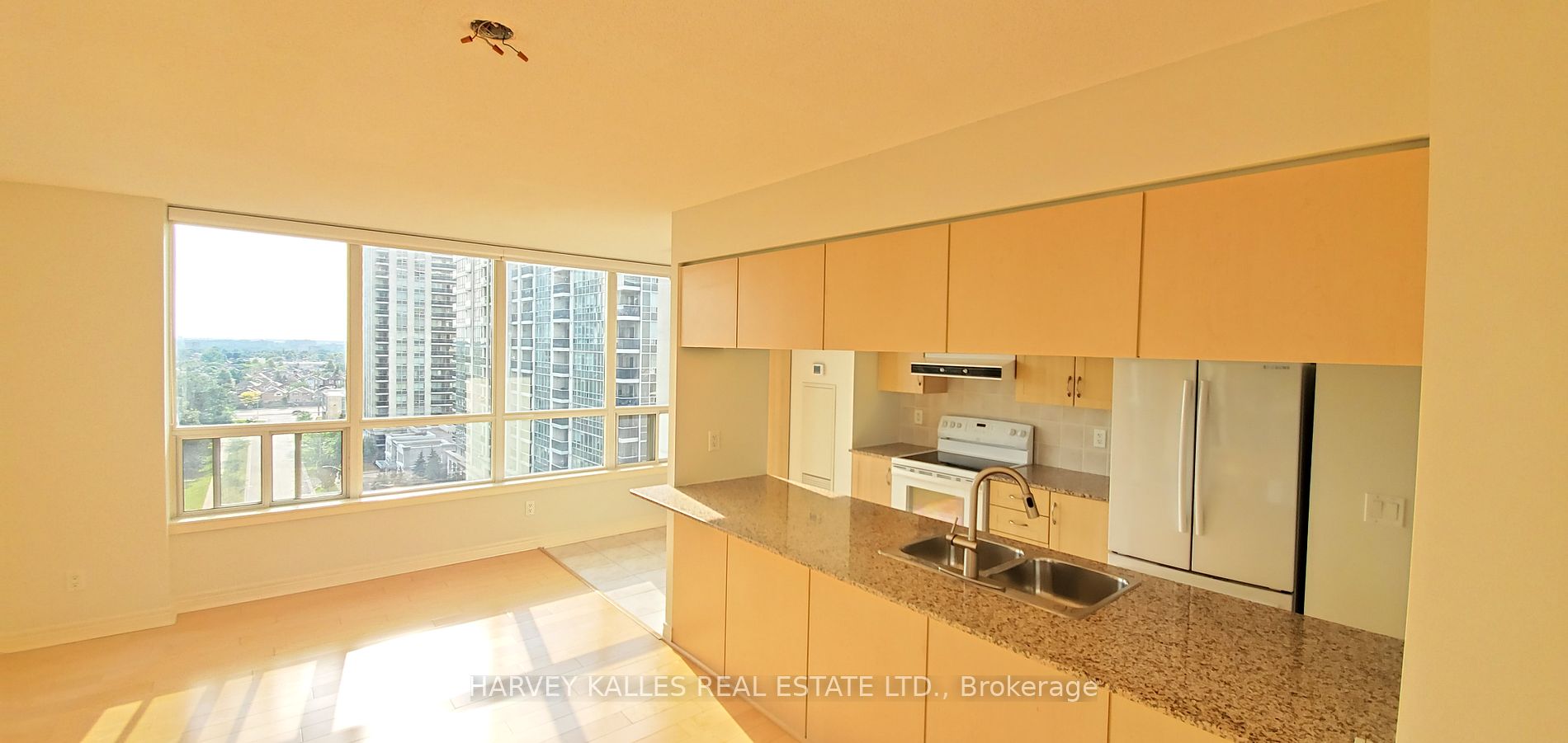 50 DISERA Drive #905