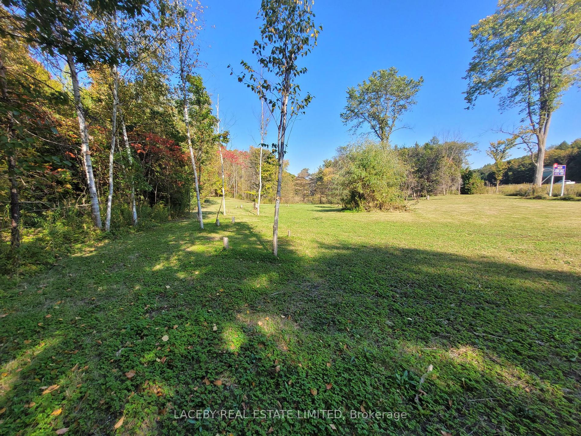 225 Glenville Rd