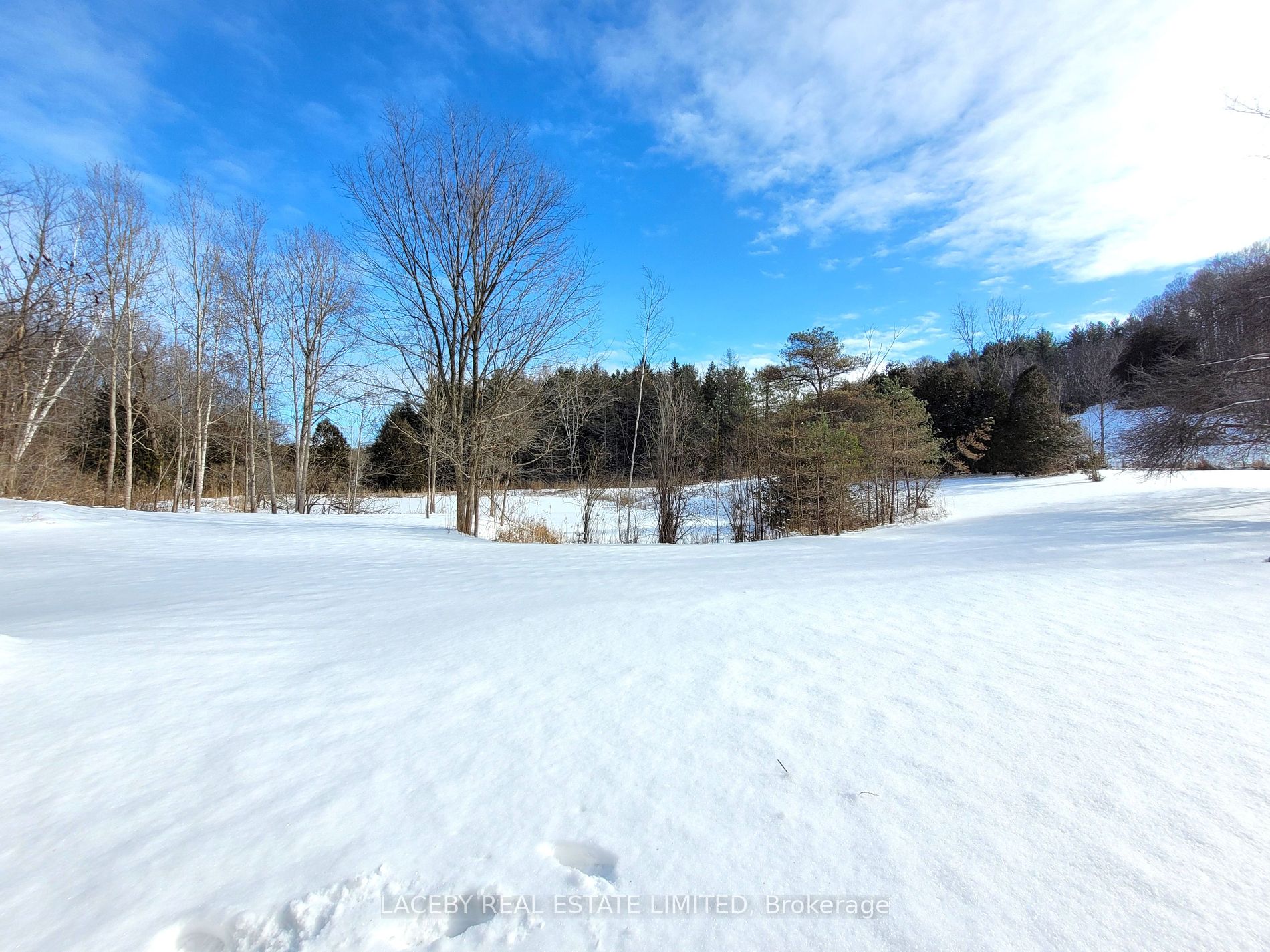 225 Glenville Rd