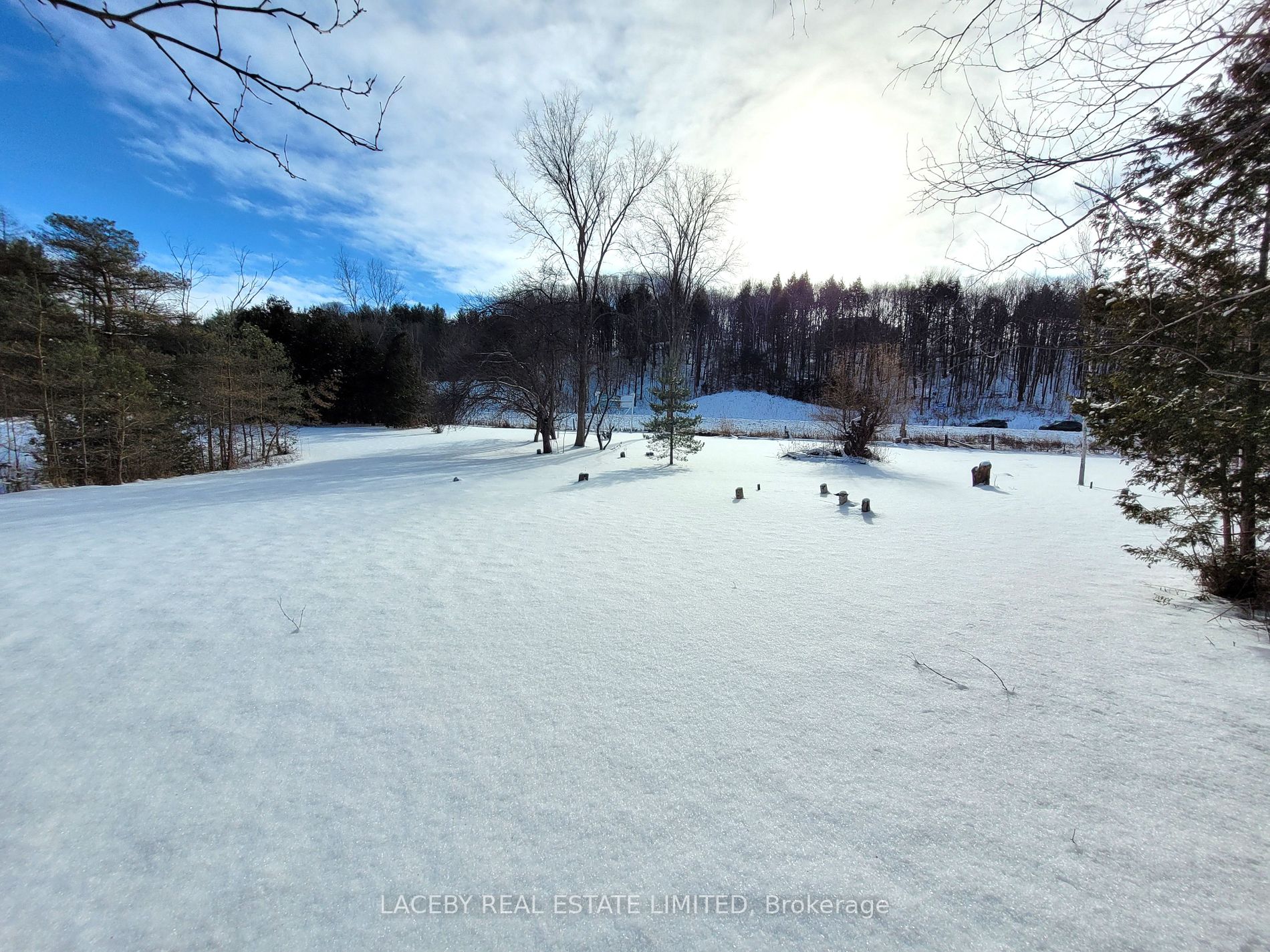 225 Glenville Rd