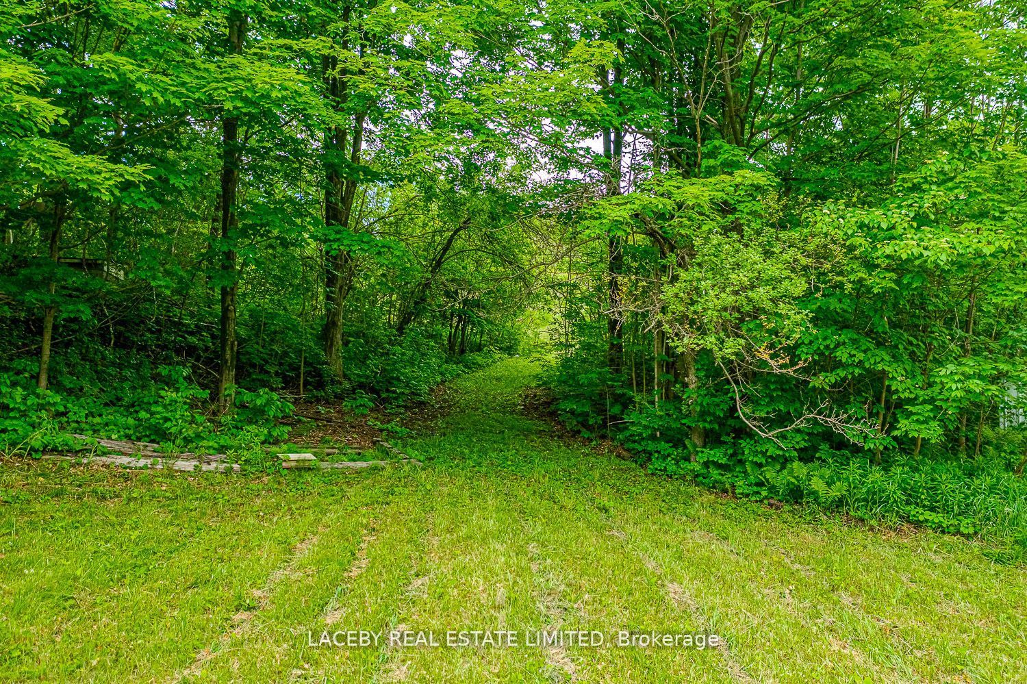 225 Glenville Rd