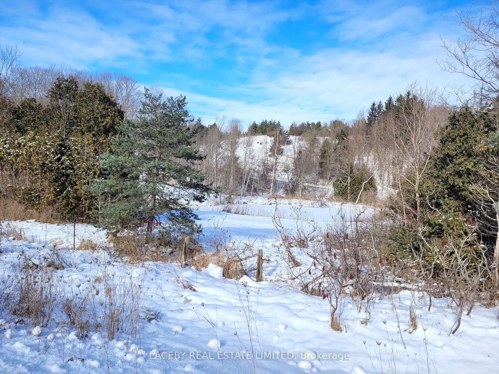 225 Glenville Rd