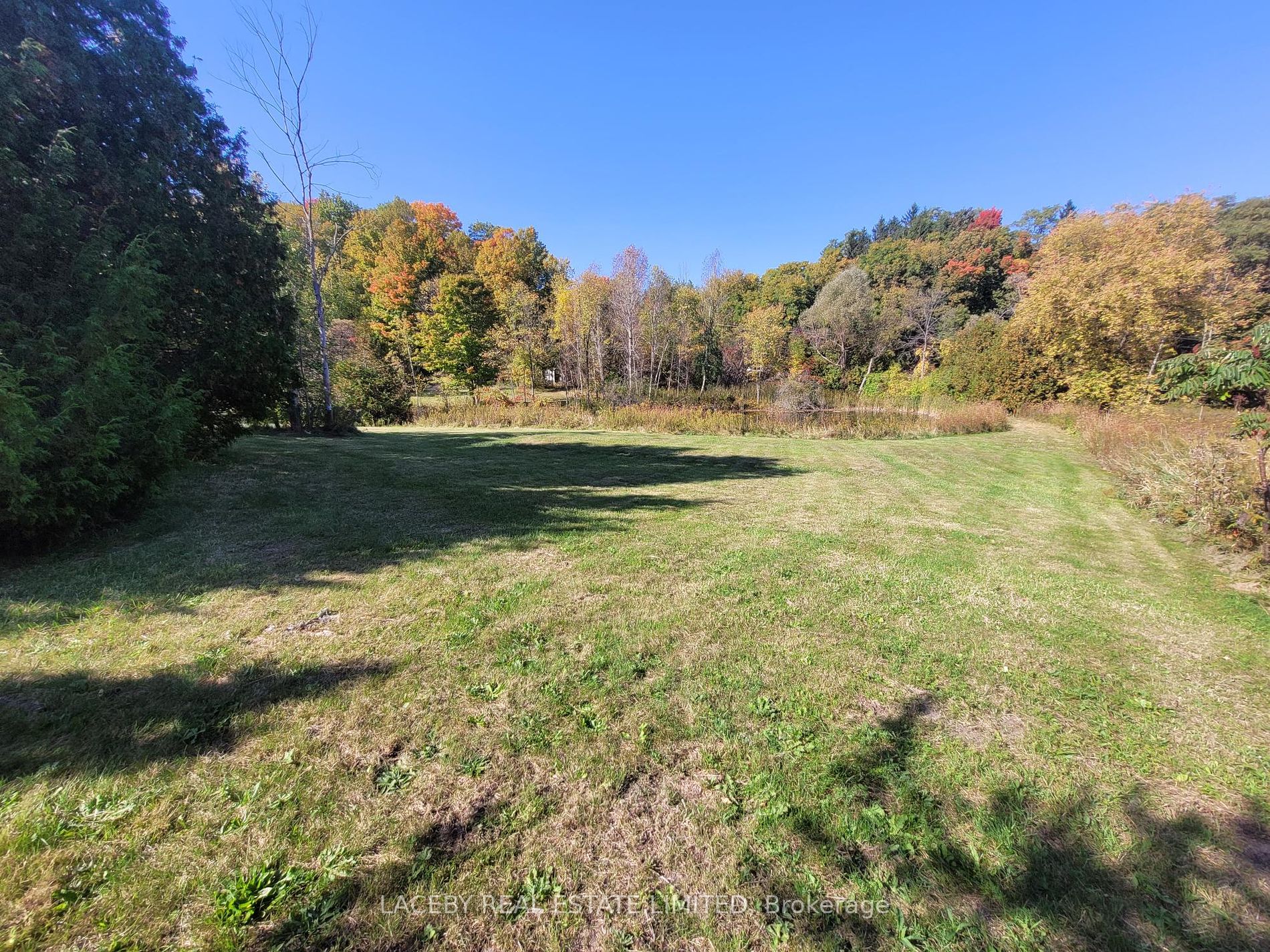 225 Glenville Rd