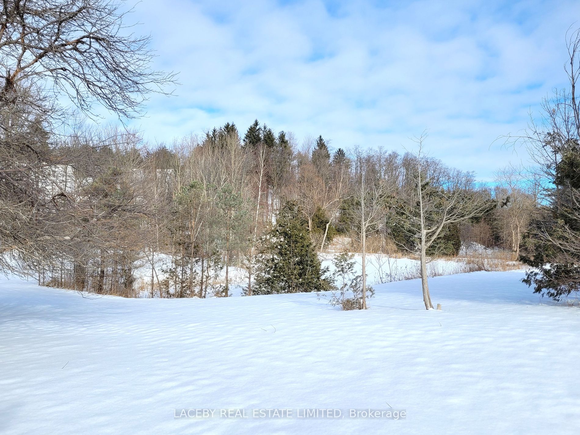 225 Glenville Rd
