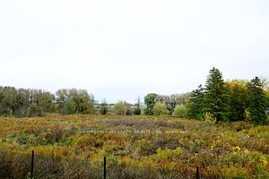 159 Bawden Dr