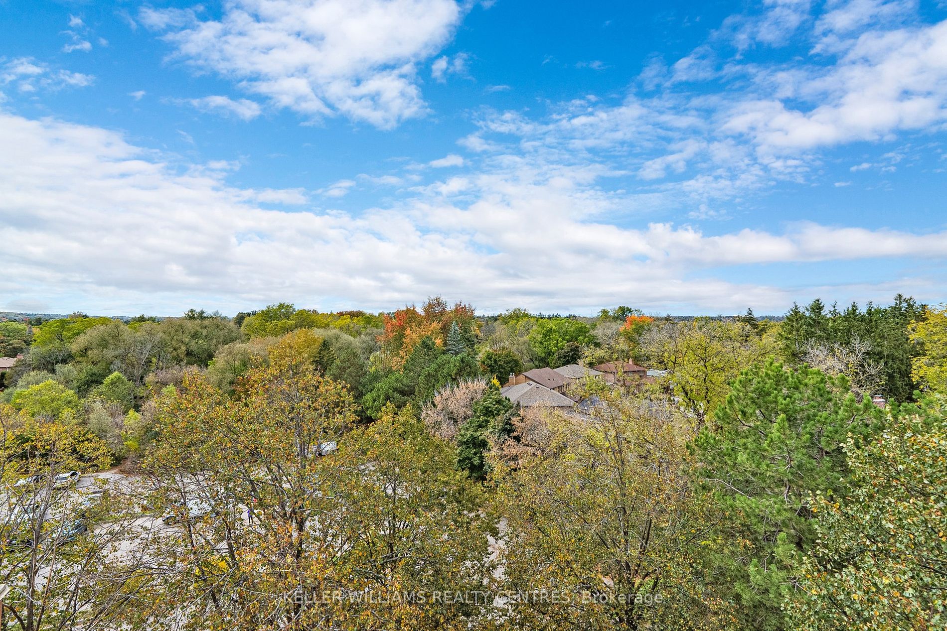 14924 Yonge St, #523