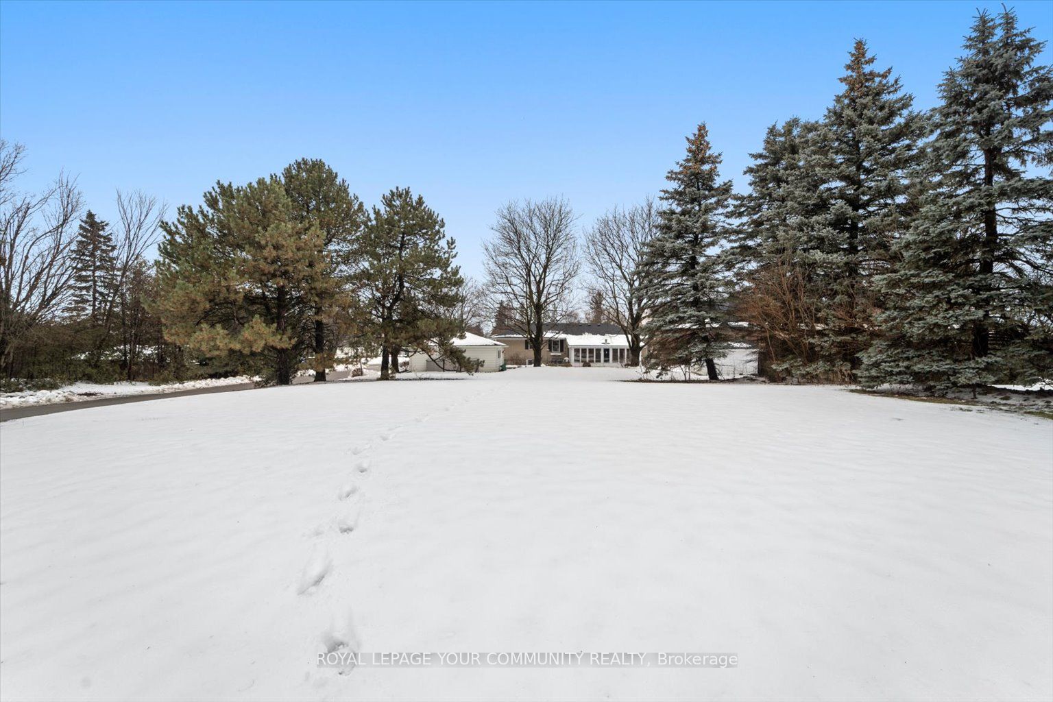 85 Patricia Drive