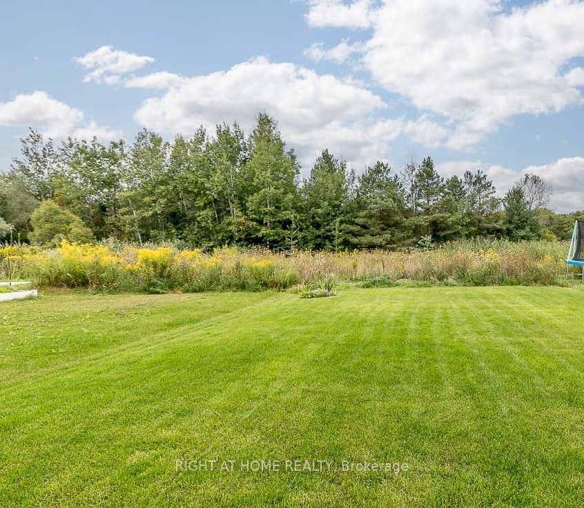 36 Wood Cres