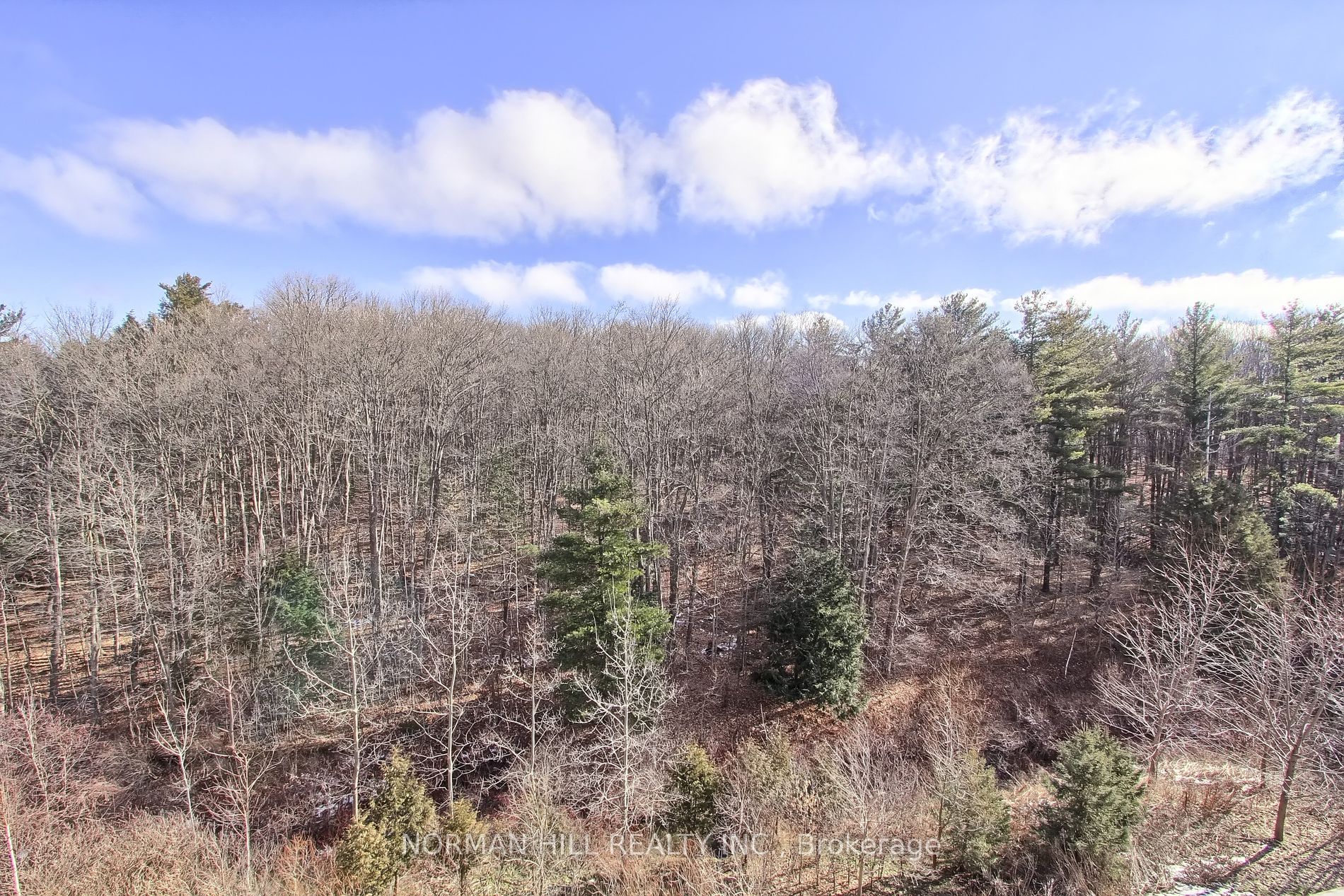 9909 Pine Valley Drive, #402