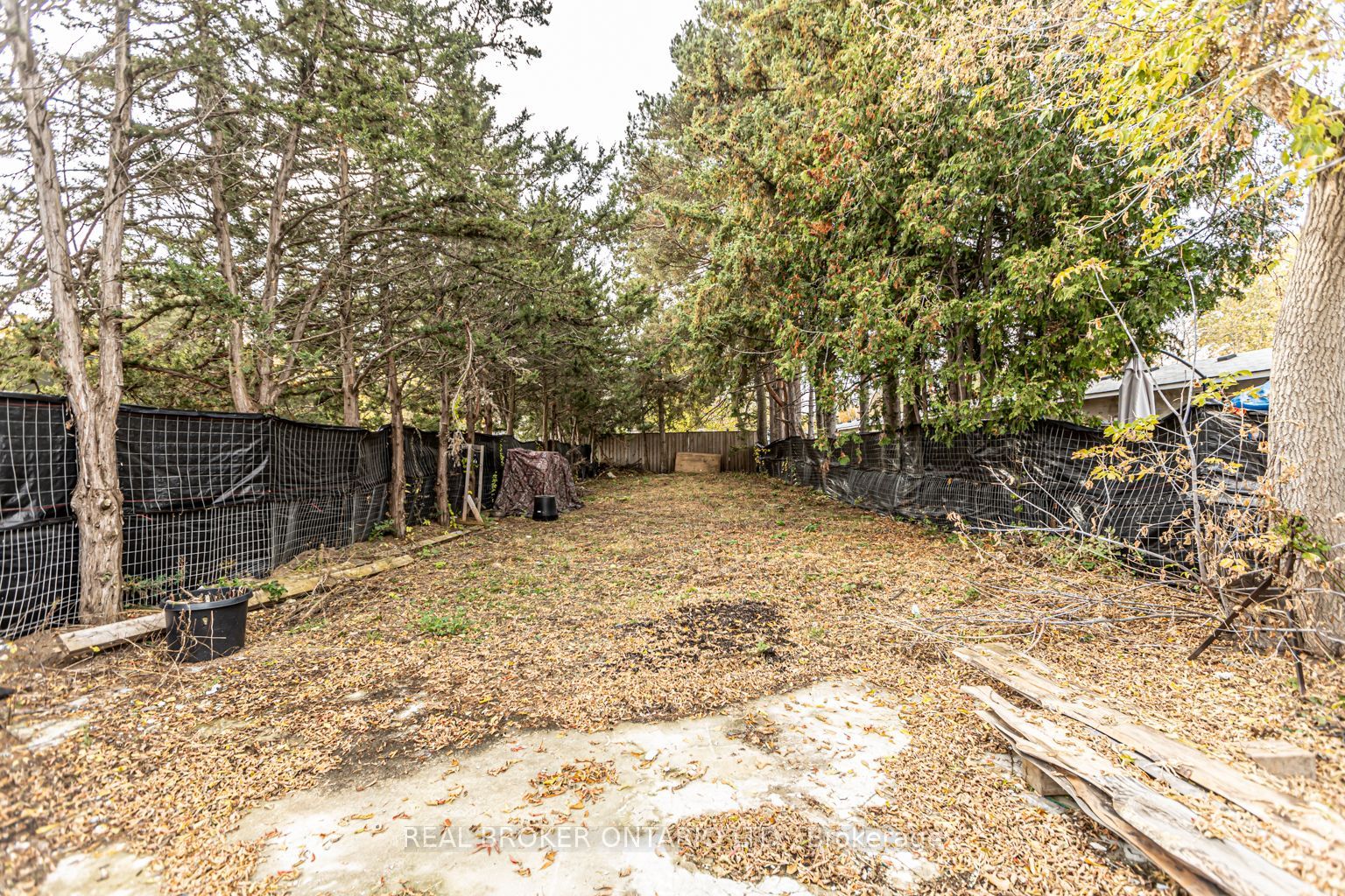 175 Mill St
