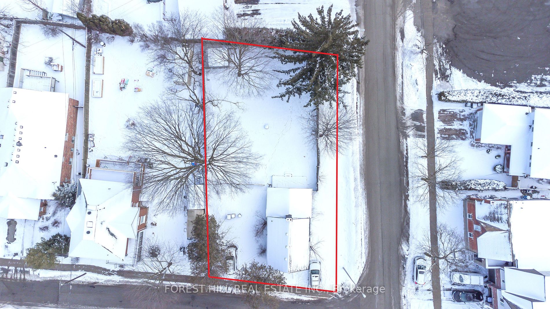 21 Forestell St