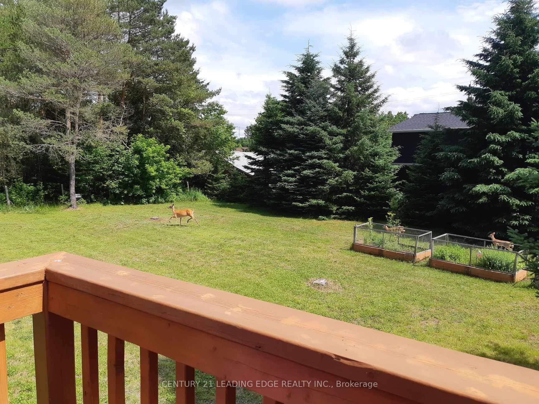 8871 Mckinnon Road