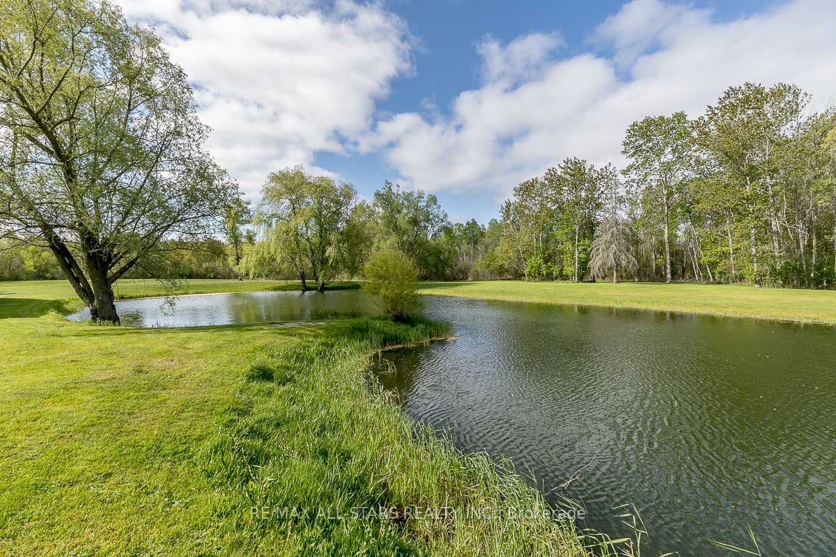 5427 Ravenshoe Road
