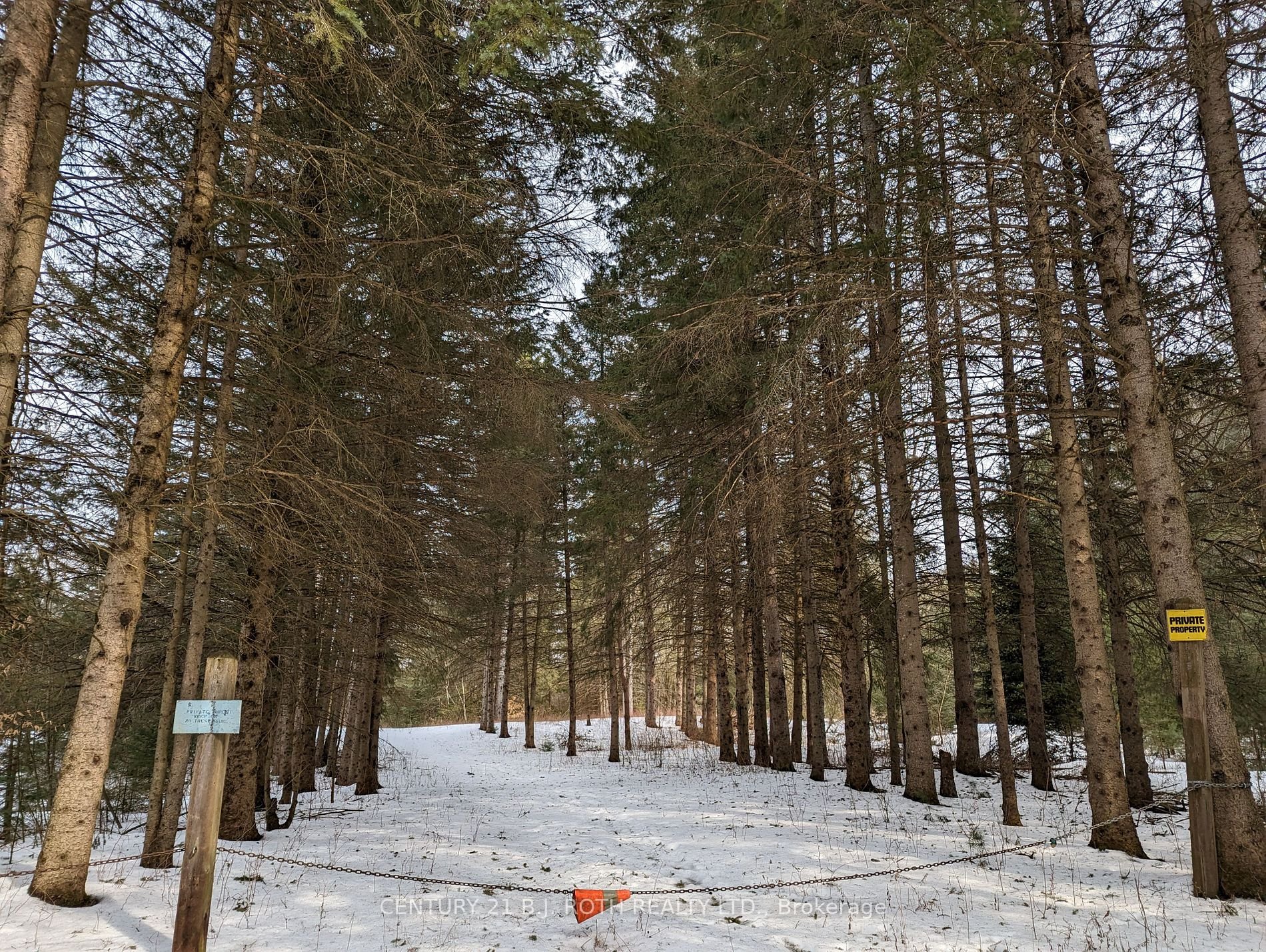 Lot 1 6th Line