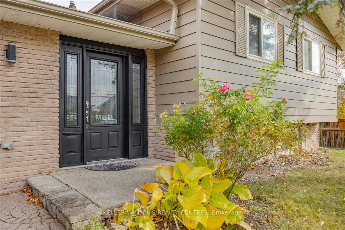 5 Evelyn Ave