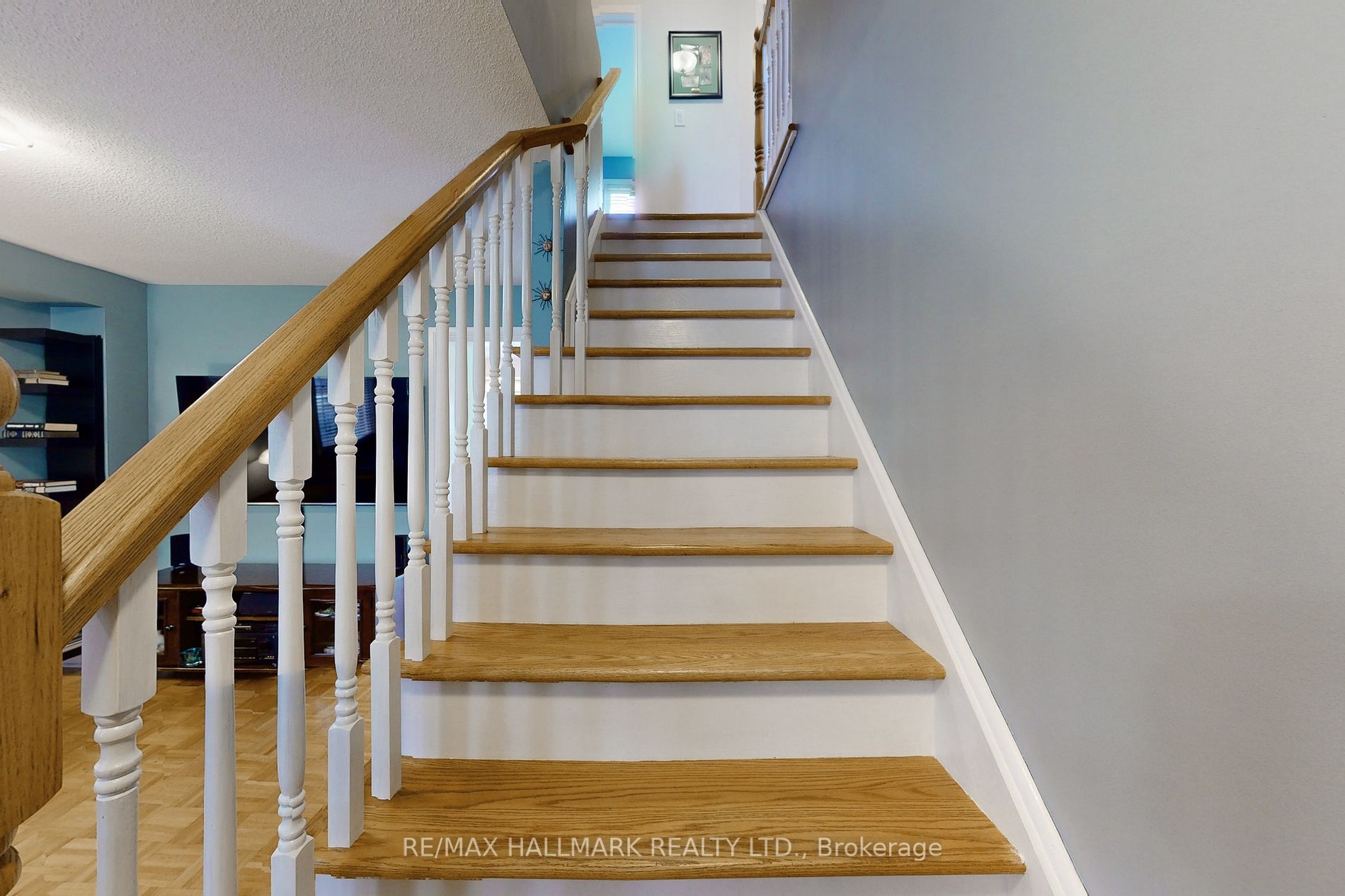 41 Discovery Trail