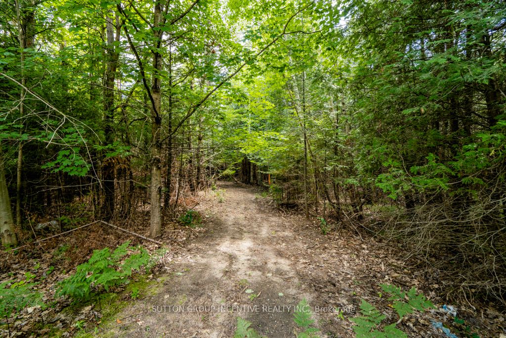 5349 30th Side Road