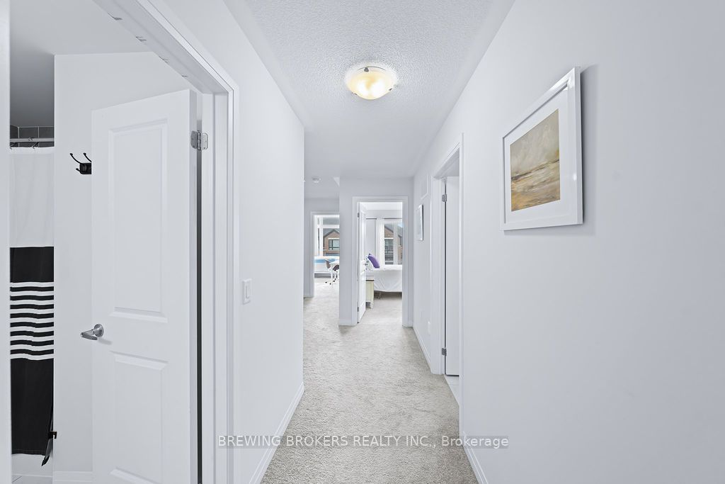 34 Landolfi Way S