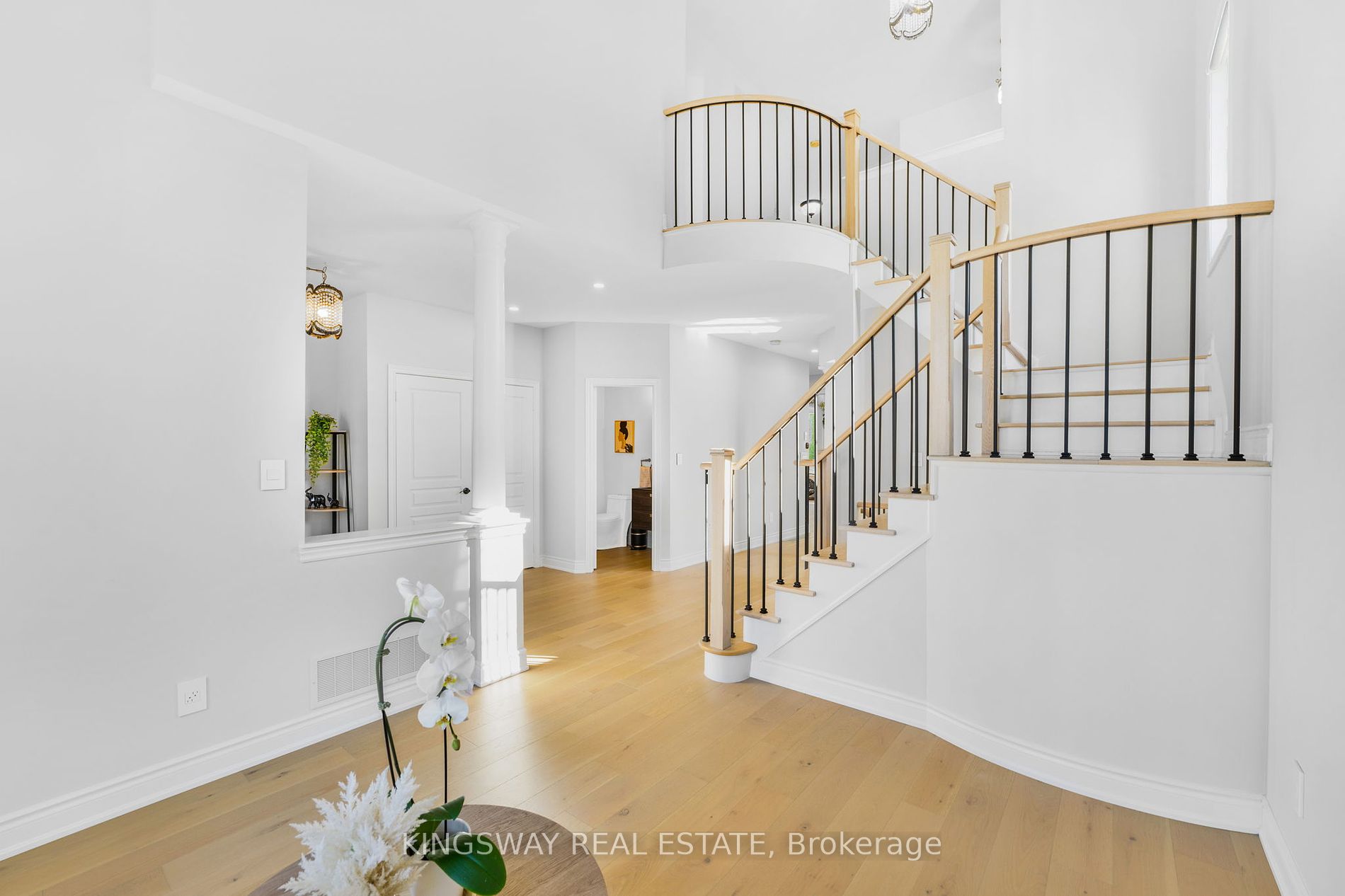 61 Milligan St