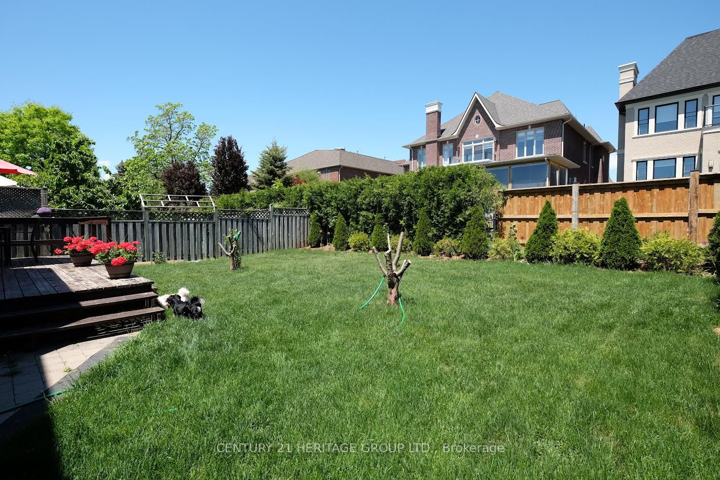 16 Wainwright Avenue