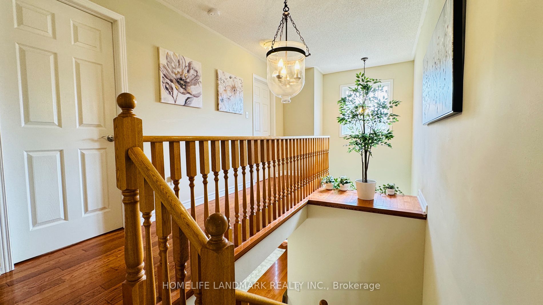 180 Trail Ridge Lane
