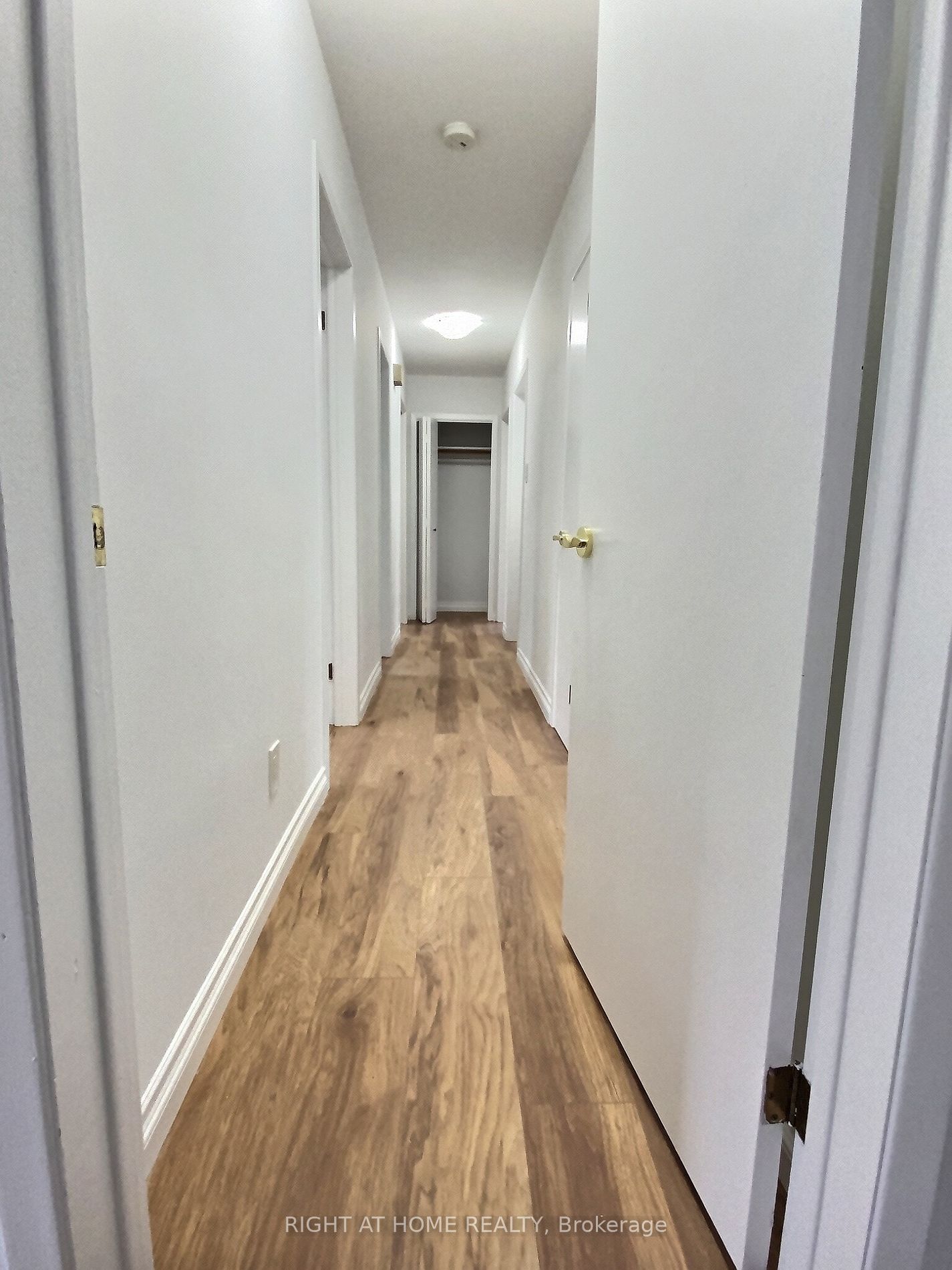 134 Lucas Street #2