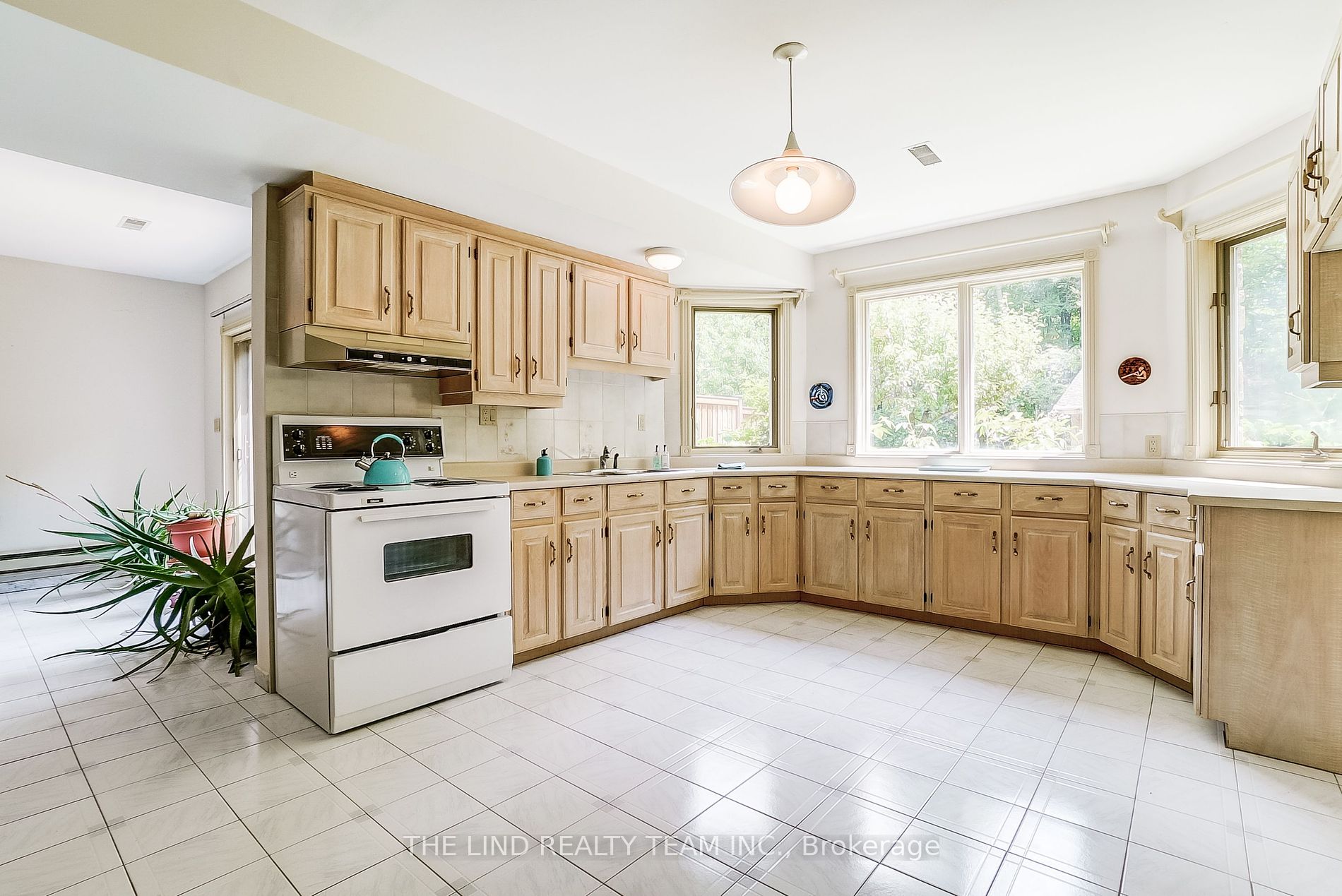 99 Birch Avenue