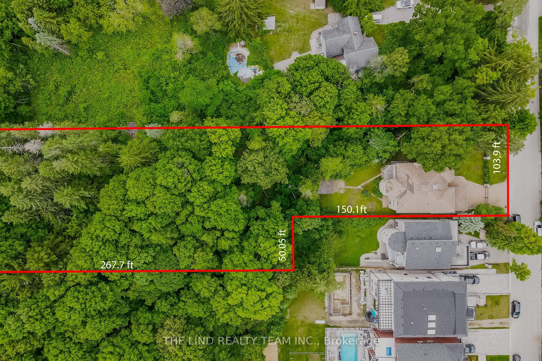 99 Birch Avenue