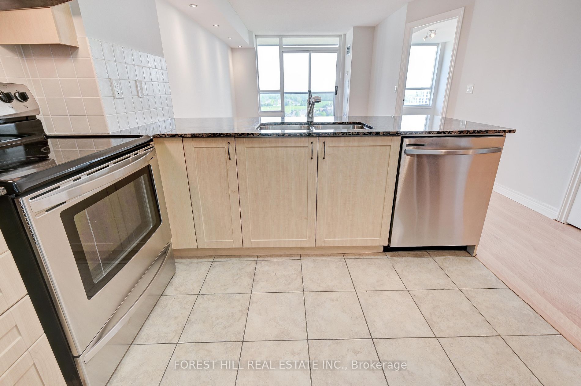 15 North Park Rd, #1509