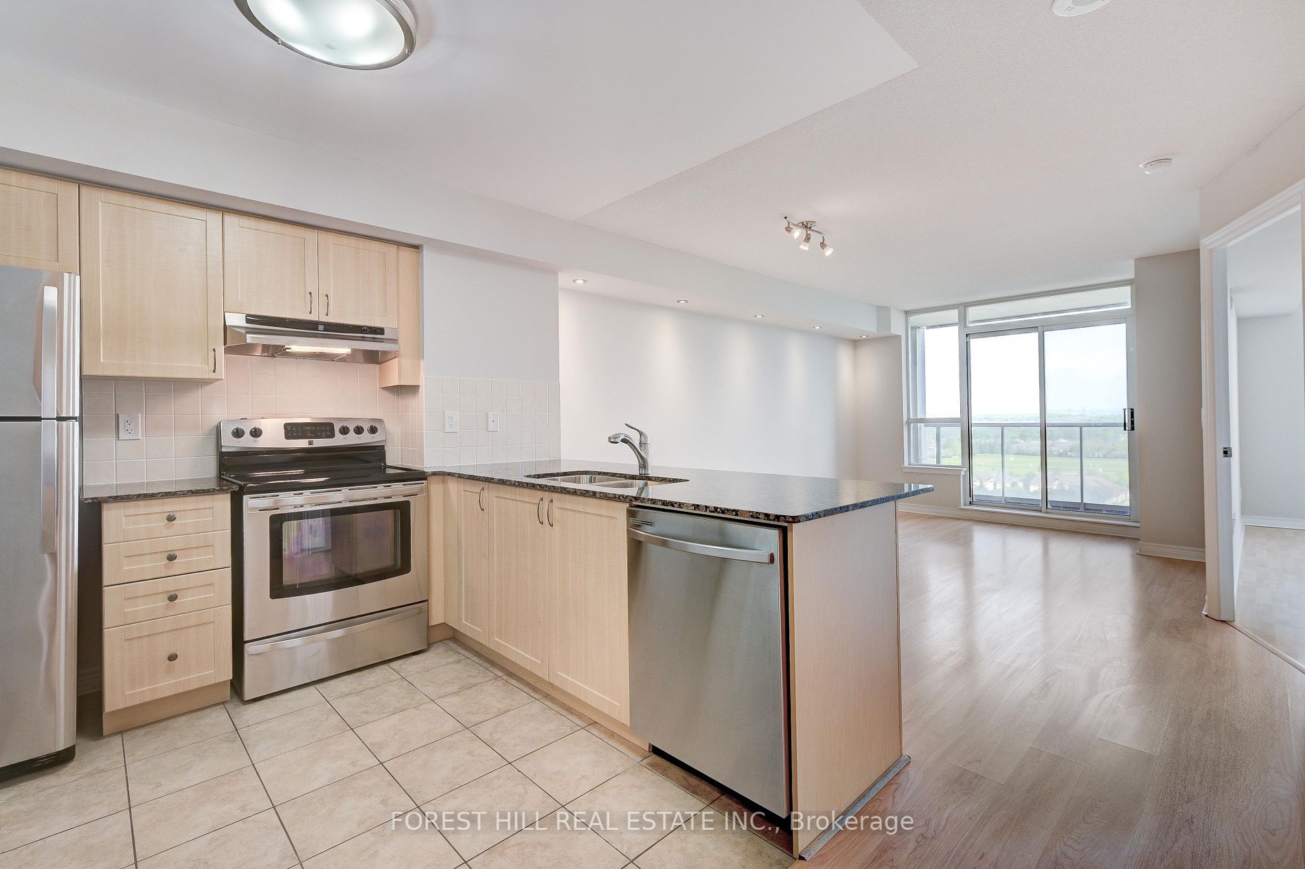 15 North Park Rd, #1509