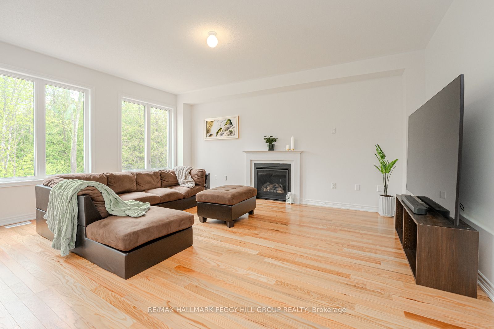 41 Wakefield Blvd