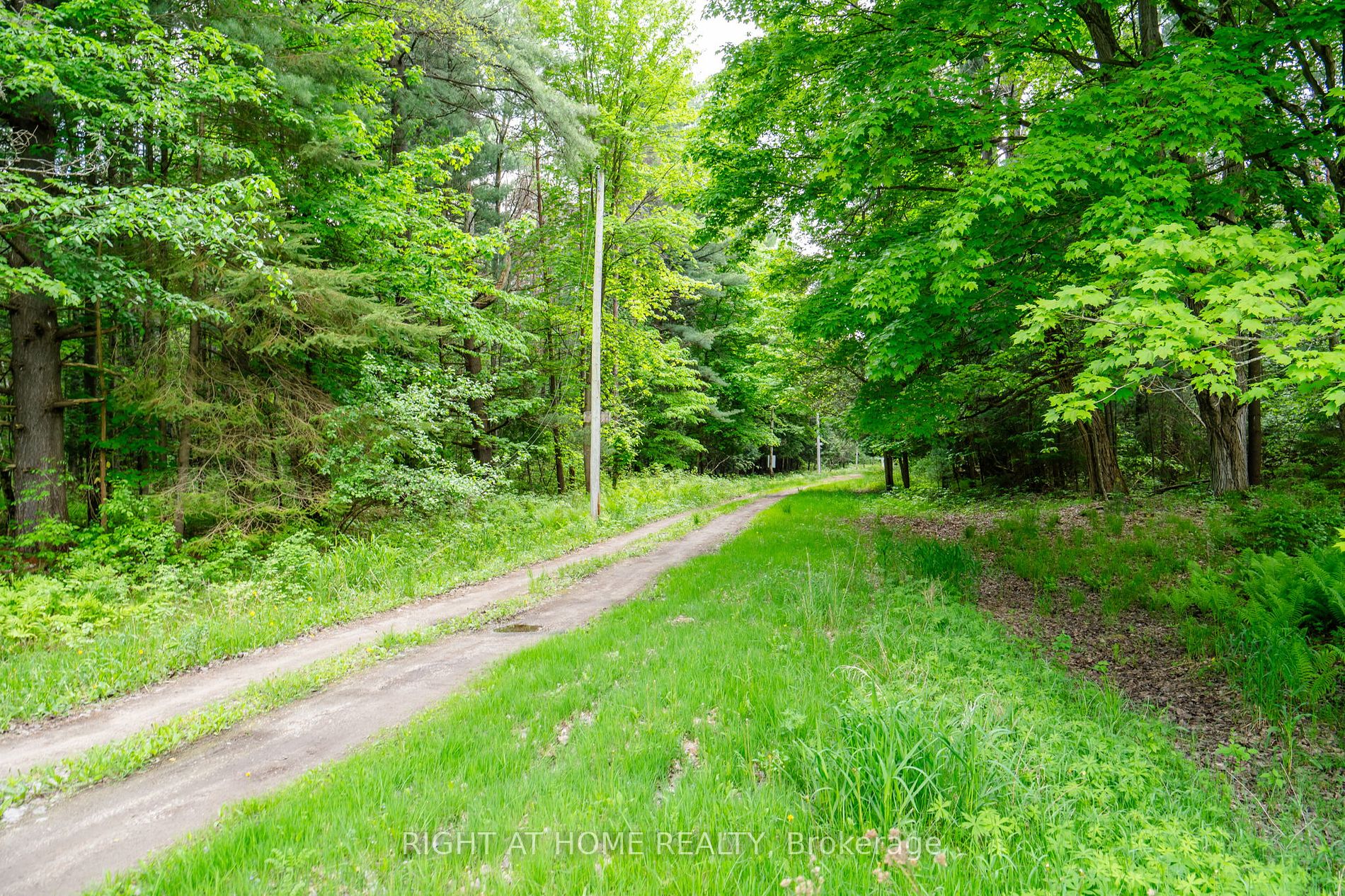 8137 4th Line
