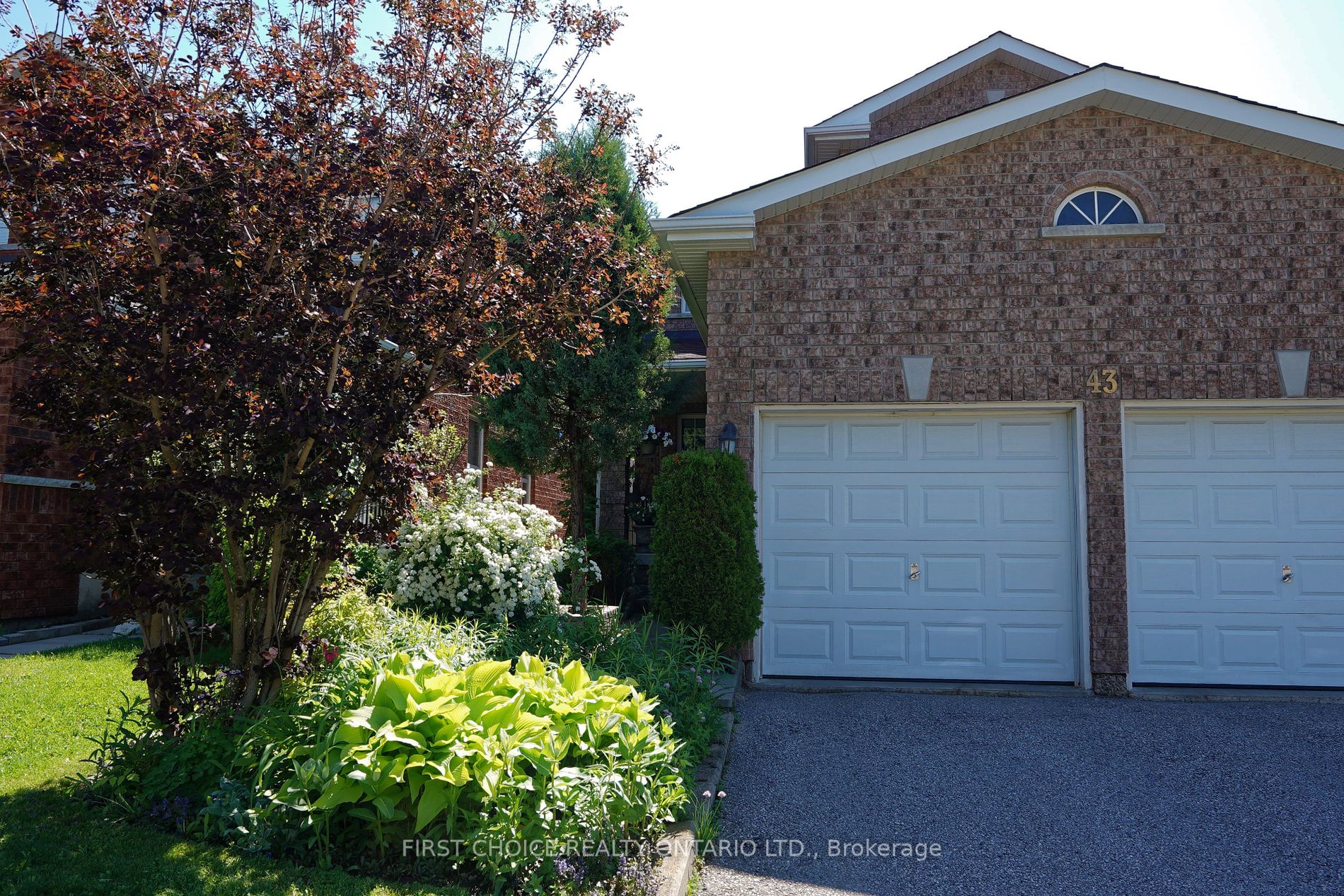 43 Buchanan Dr