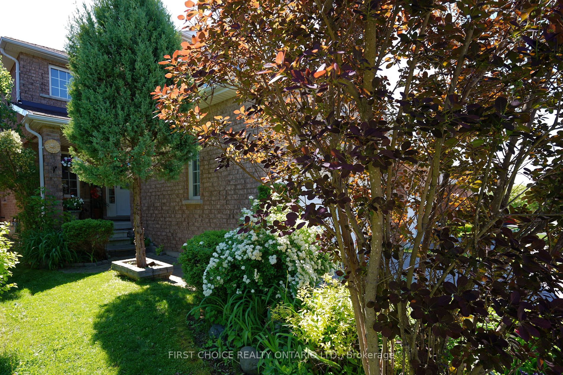 43 Buchanan Dr