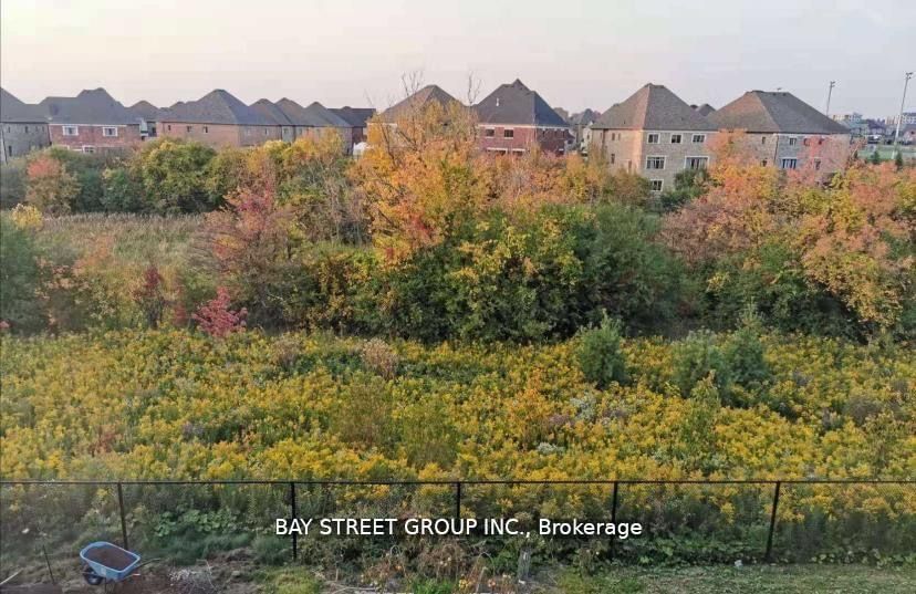 60 Elyse Crt