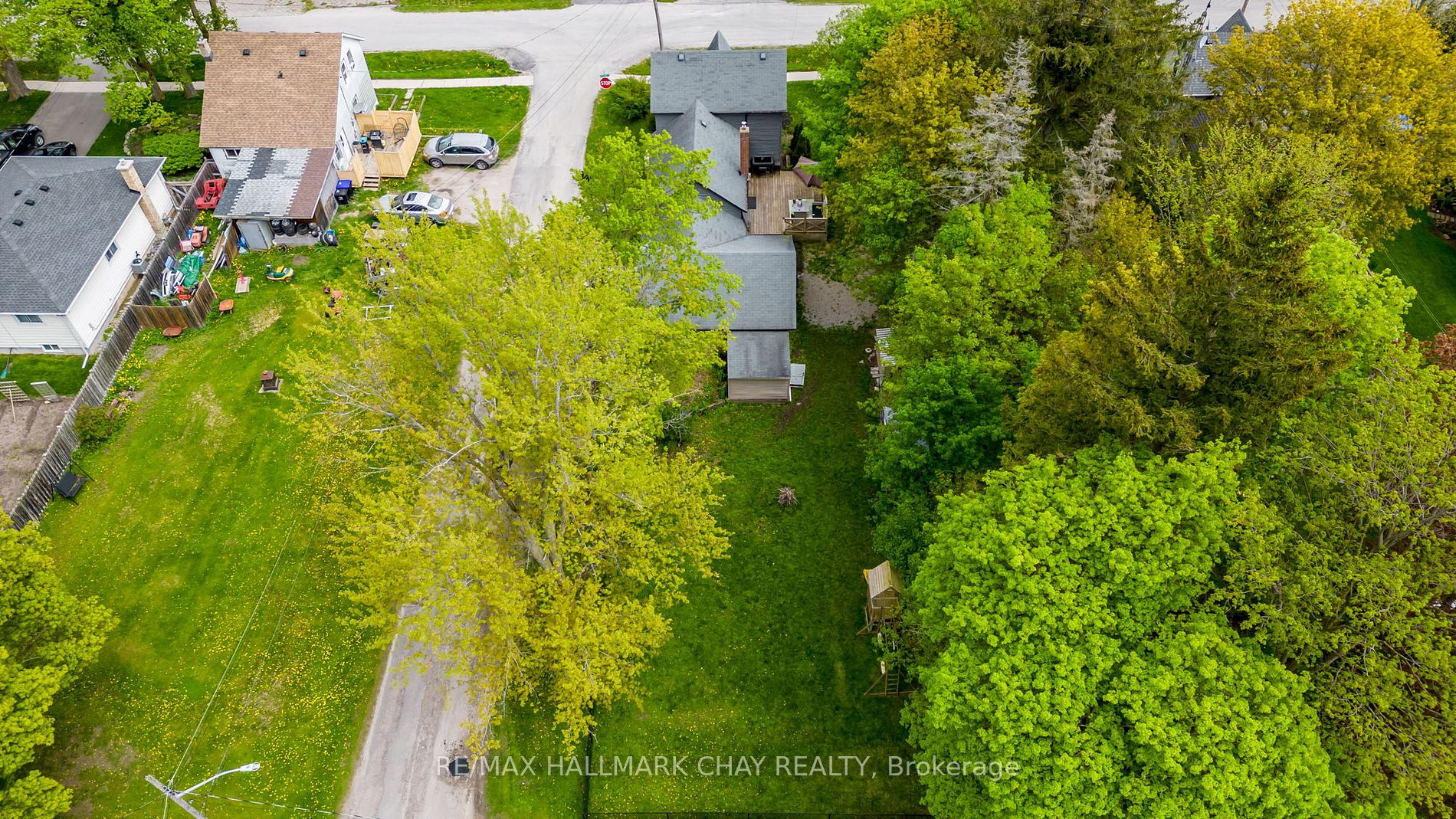 7 Stoddart St