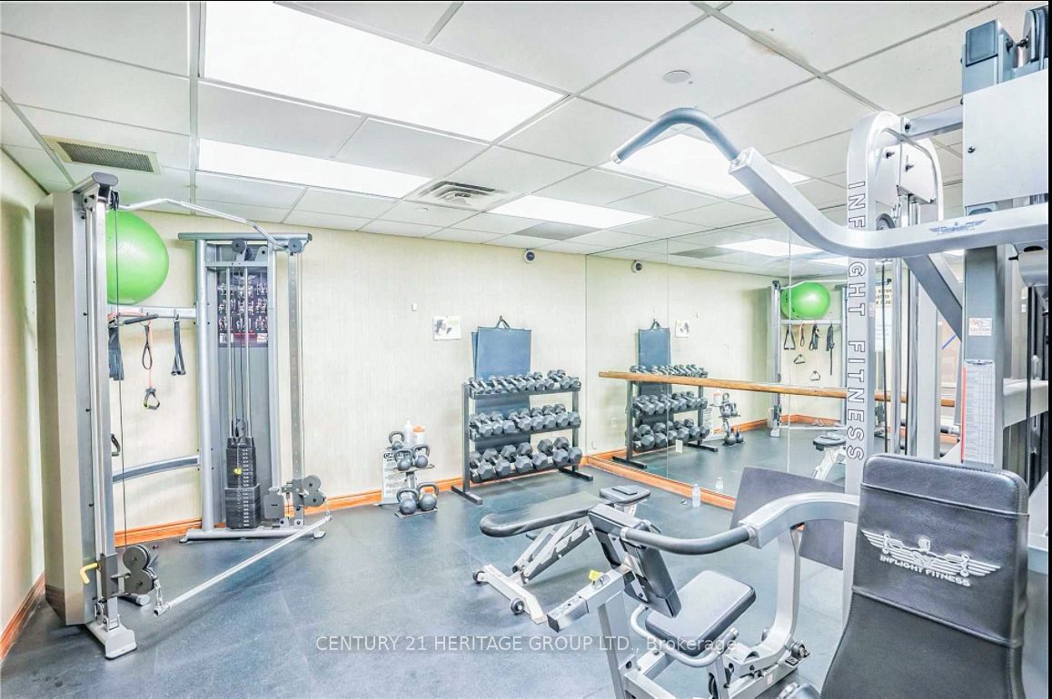175 Cedar Avenue, #215